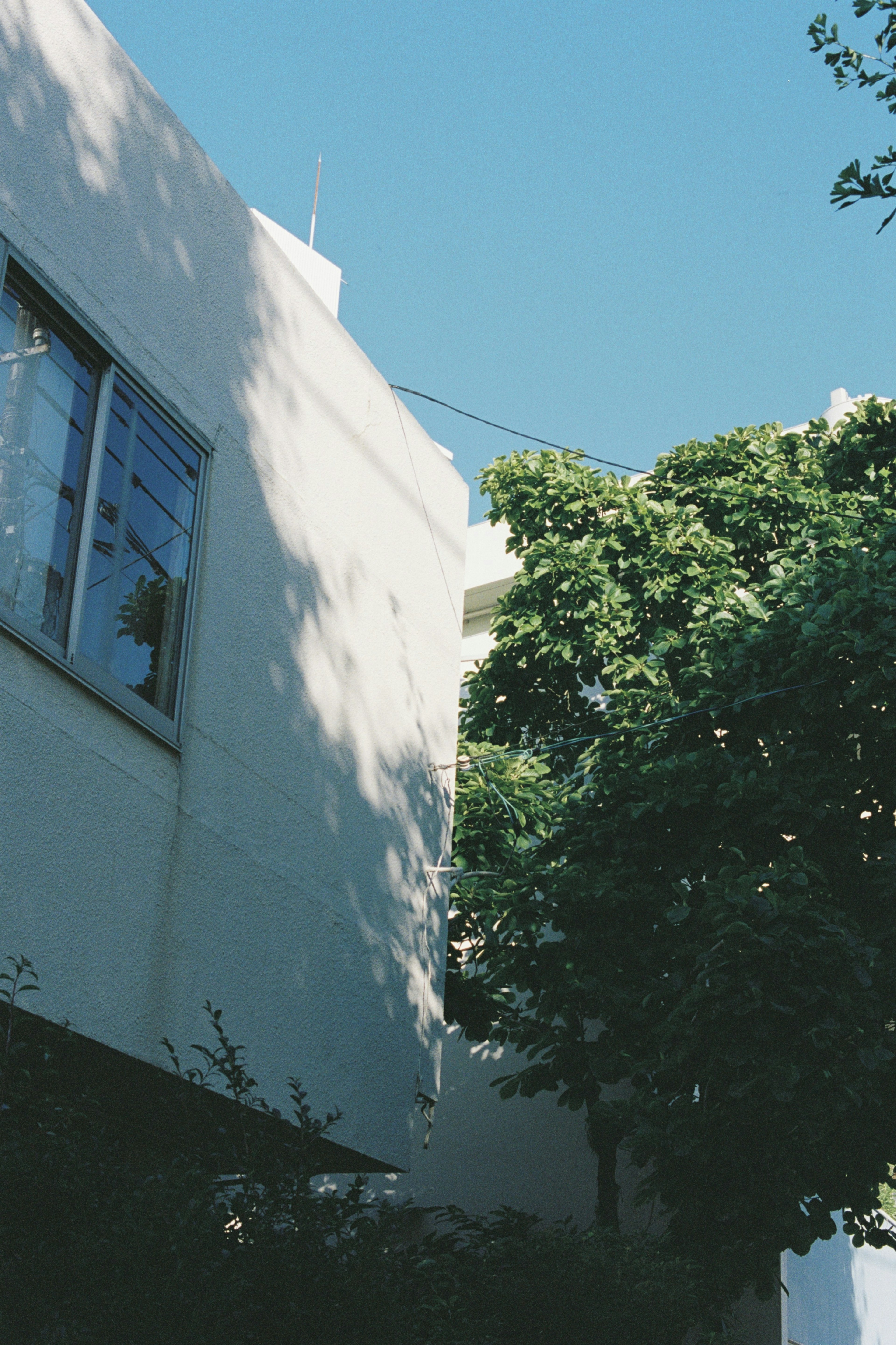 Bâtiment blanc sous un ciel bleu avec des arbres verts luxuriants