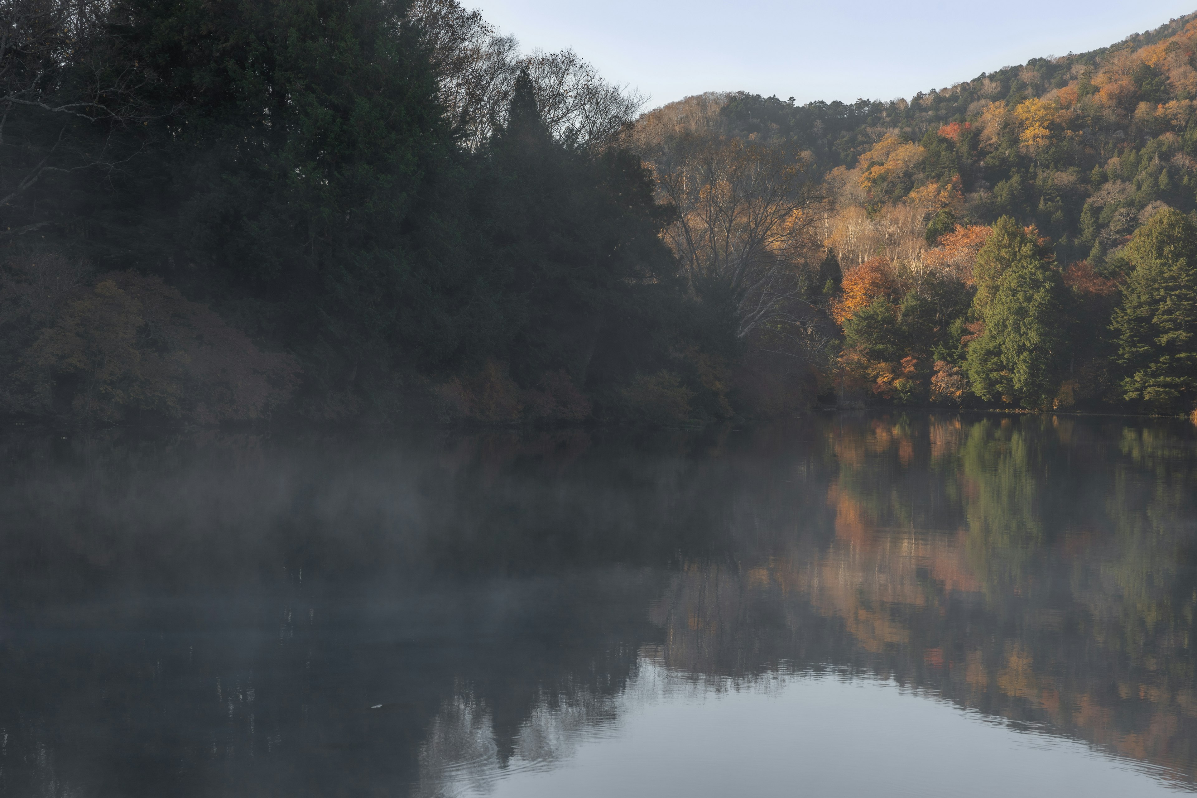 Serene landscape of a misty lake reflecting autumn foliage