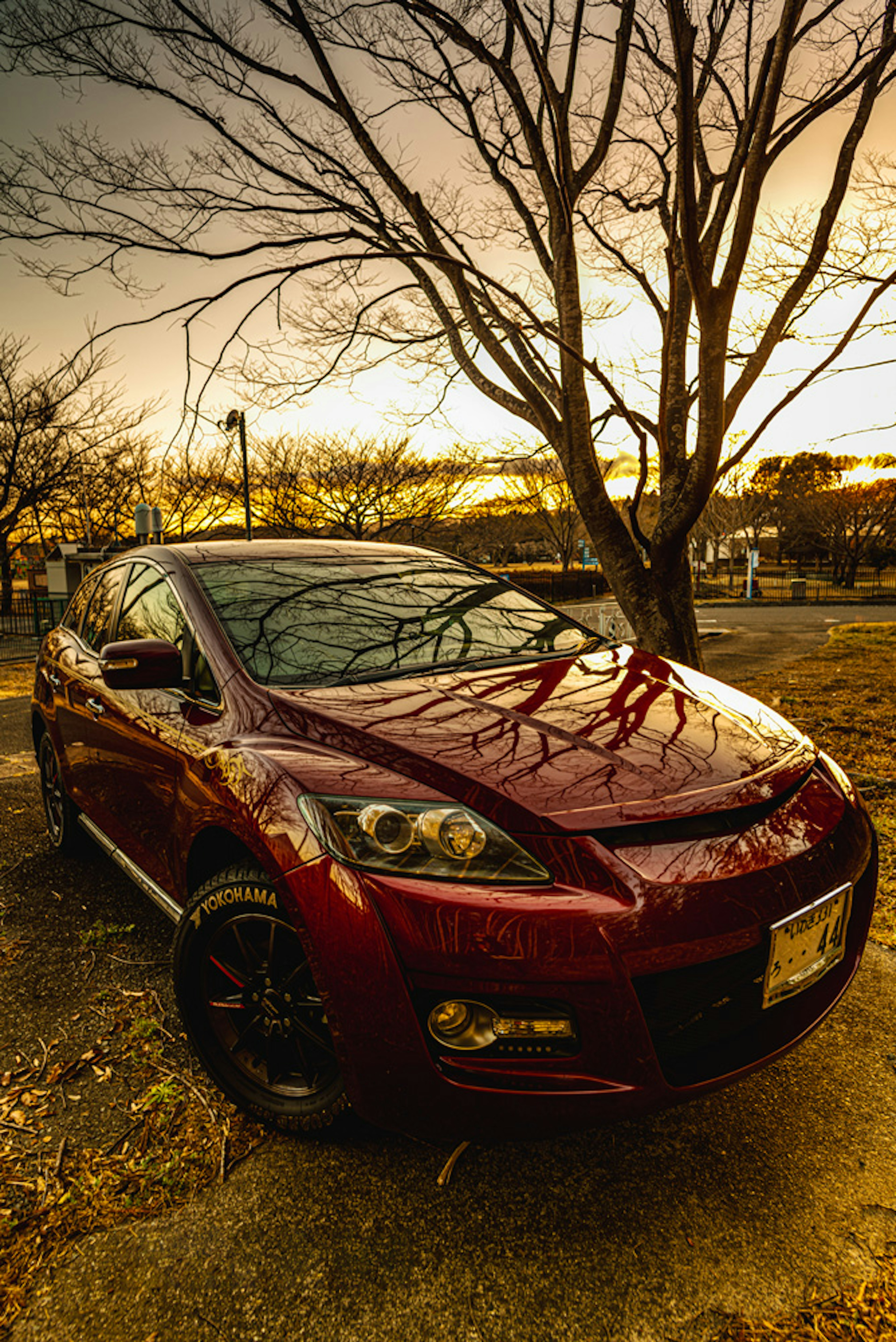 Red car parked under a silhouetted tree at sunset