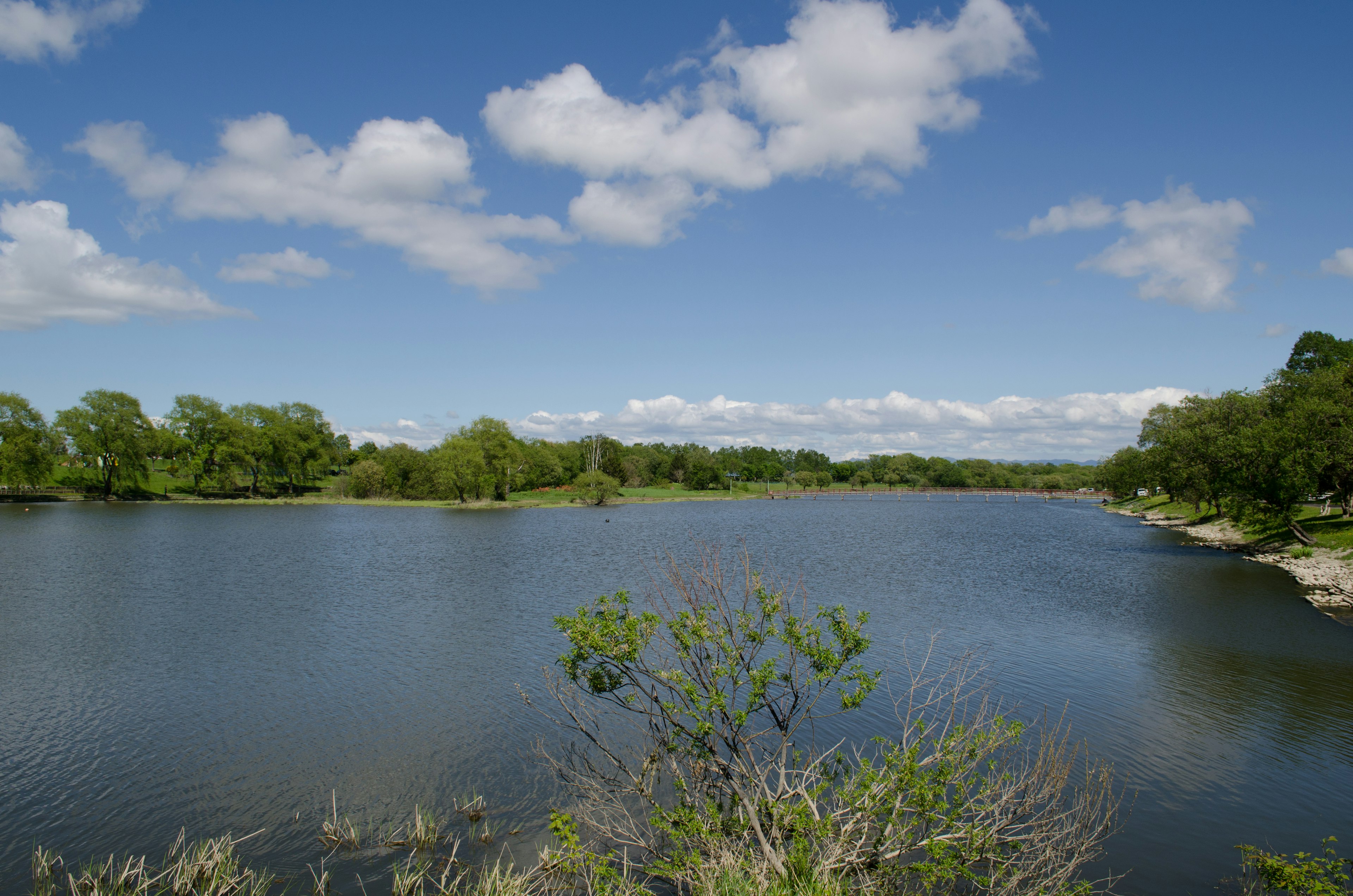 Serene lake with lush greenery and blue sky dotted with white clouds