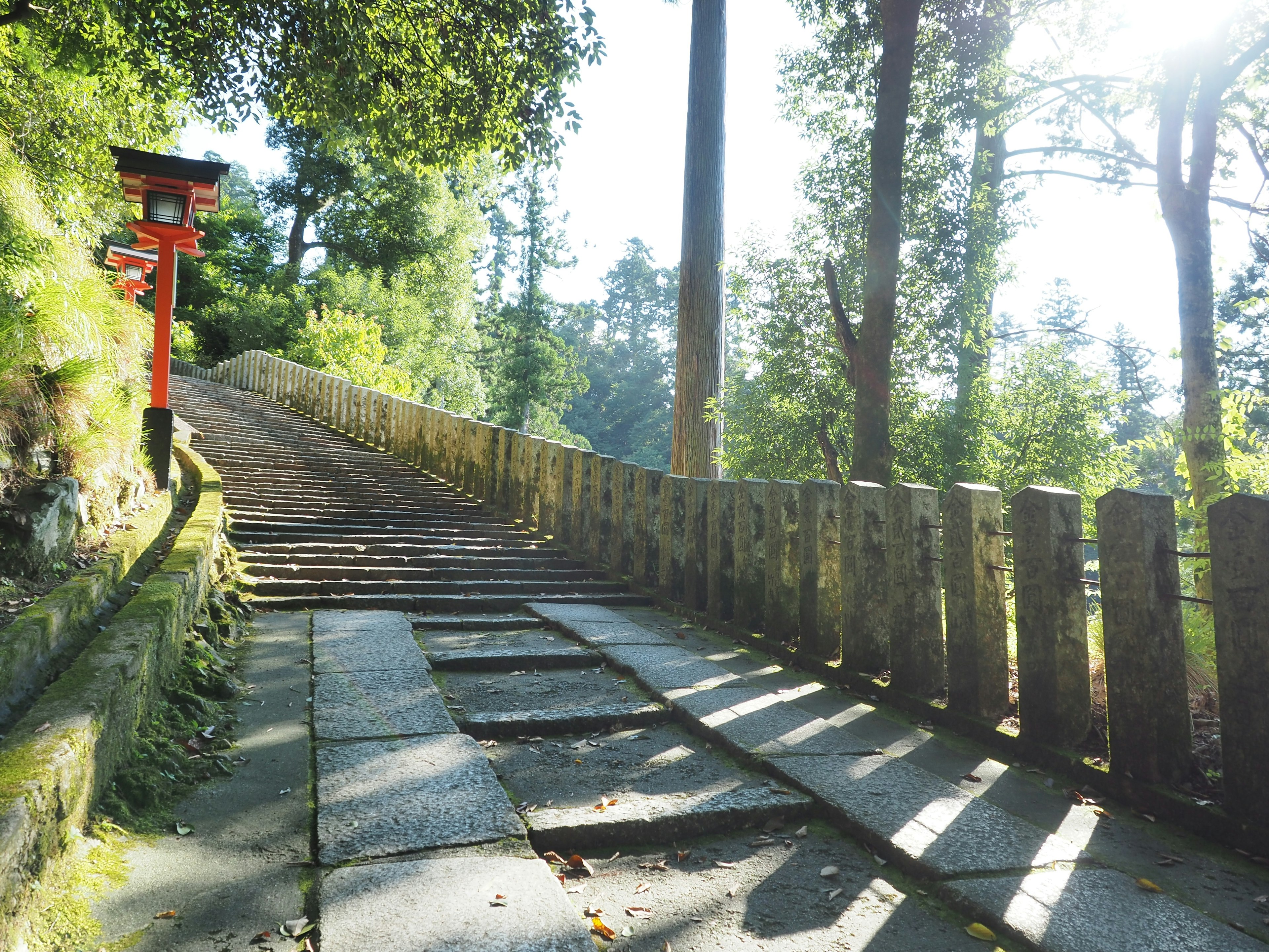 Chemin forestier avec des marches en pierre et une porte torii rouge