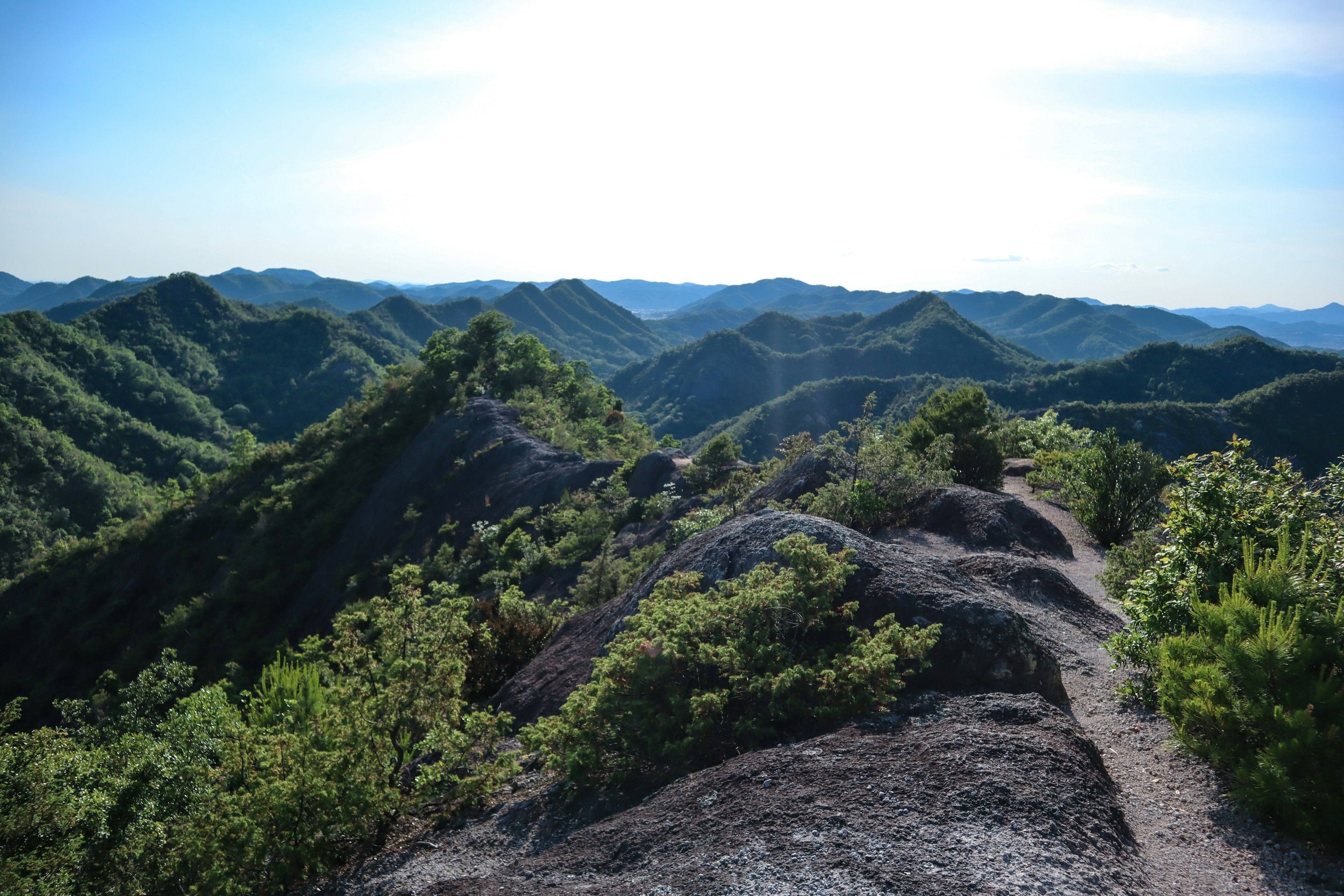 Montañas verdes exuberantes con un cielo azul claro