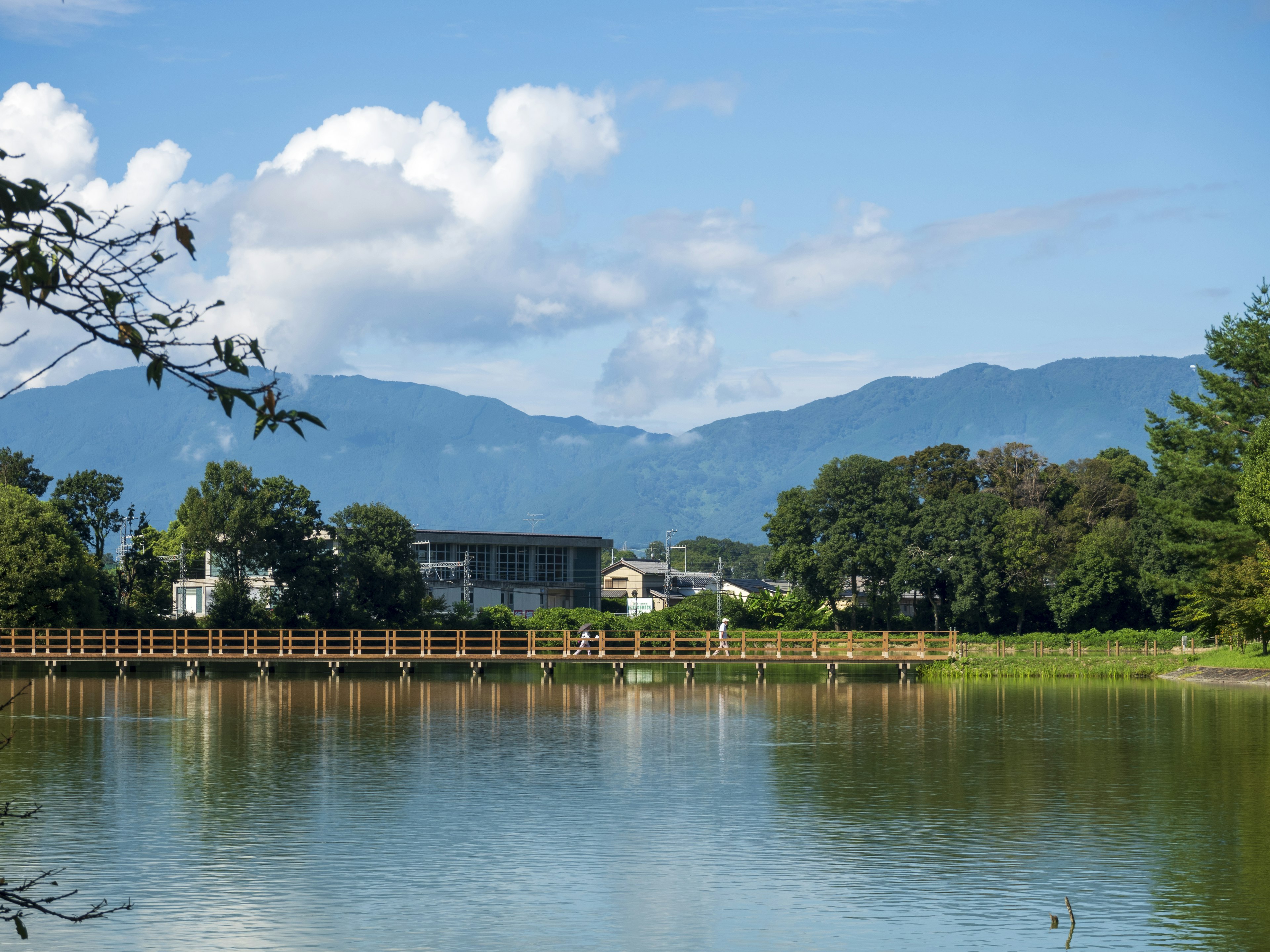 青空と白い雲が広がる美しい湖の風景 湖の向こうには緑の山々と木々が見える