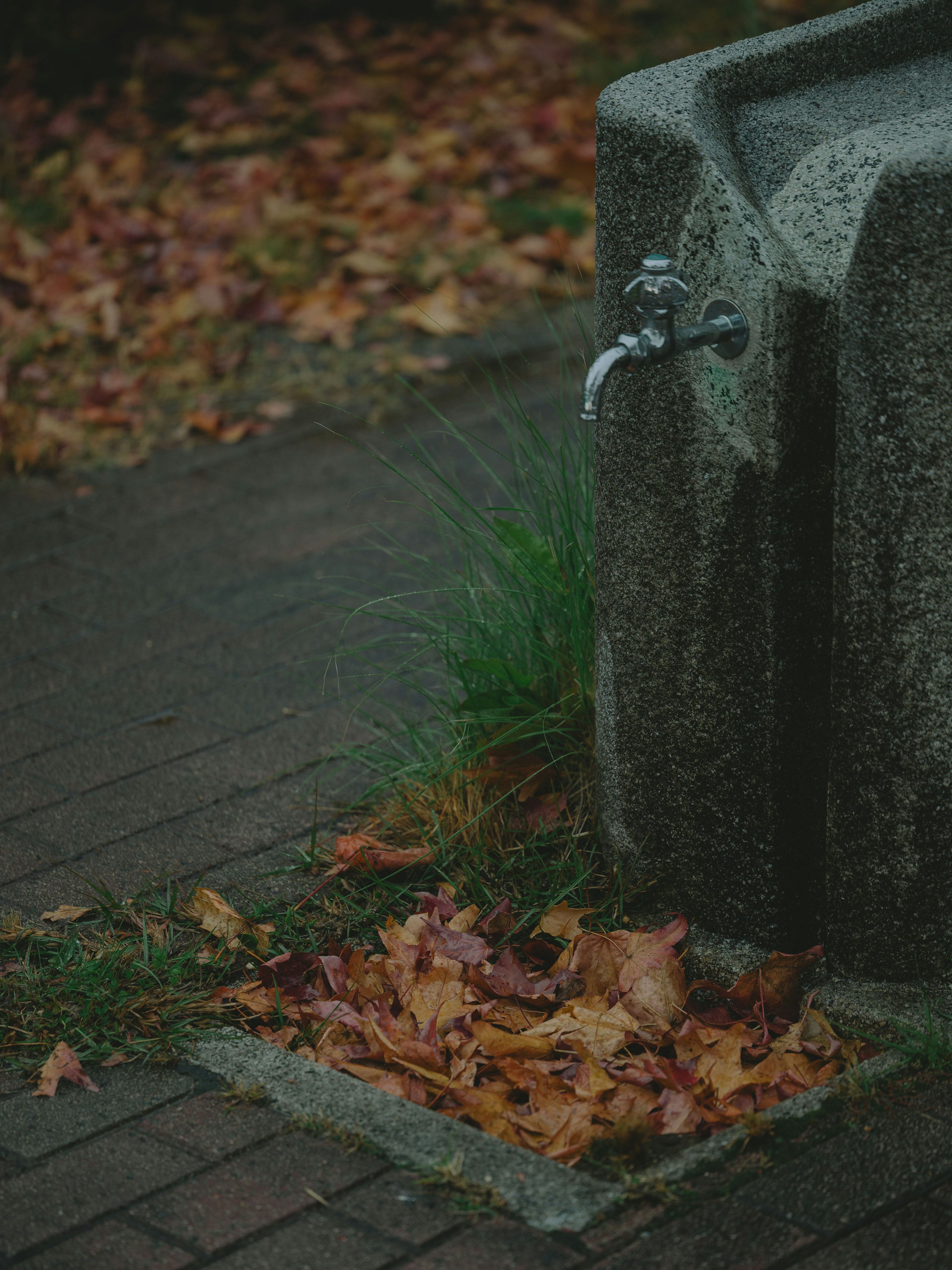 Steinbrunnen umgeben von gefallenen Blättern