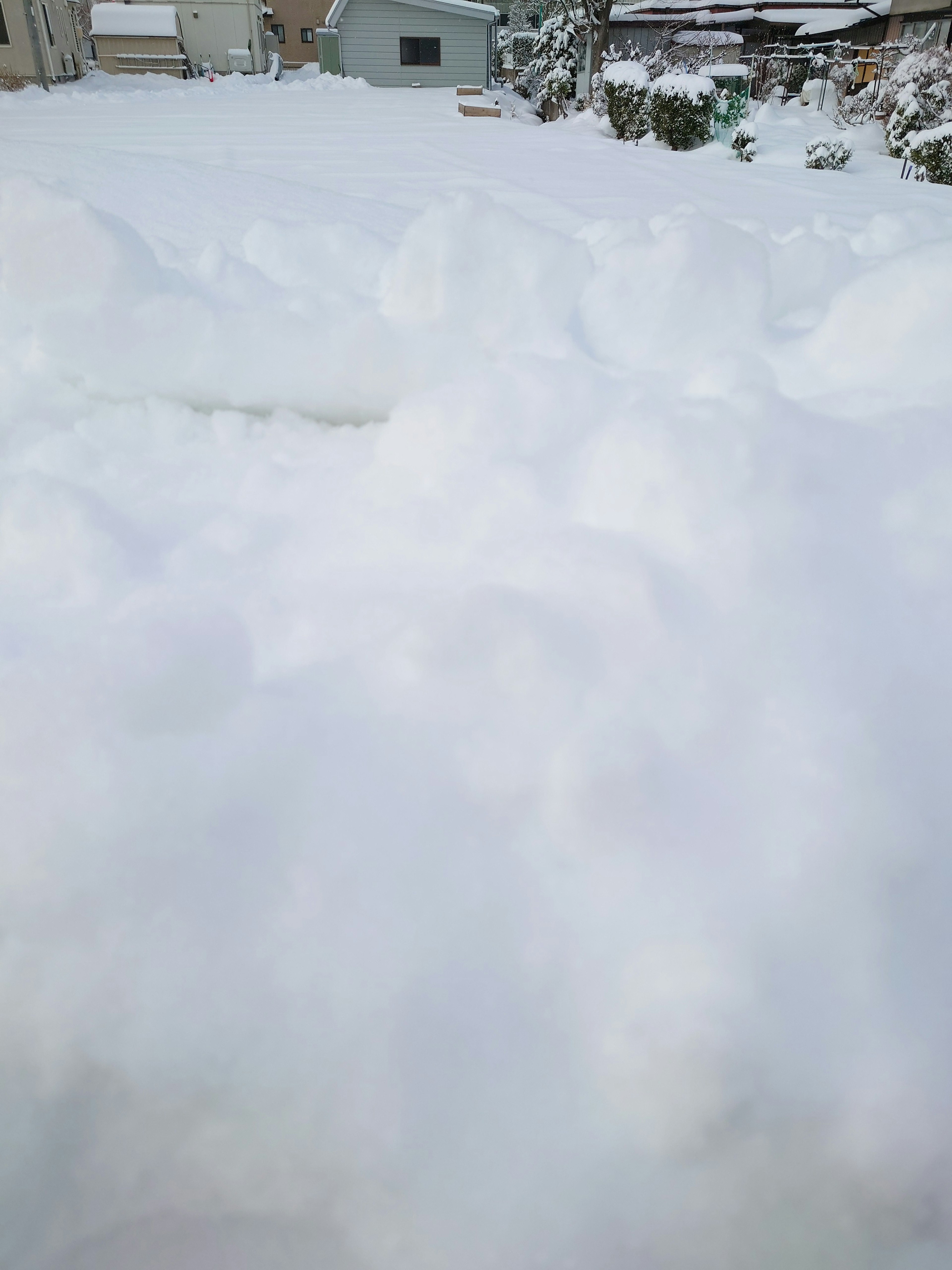 A snowy landscape with a house in the background