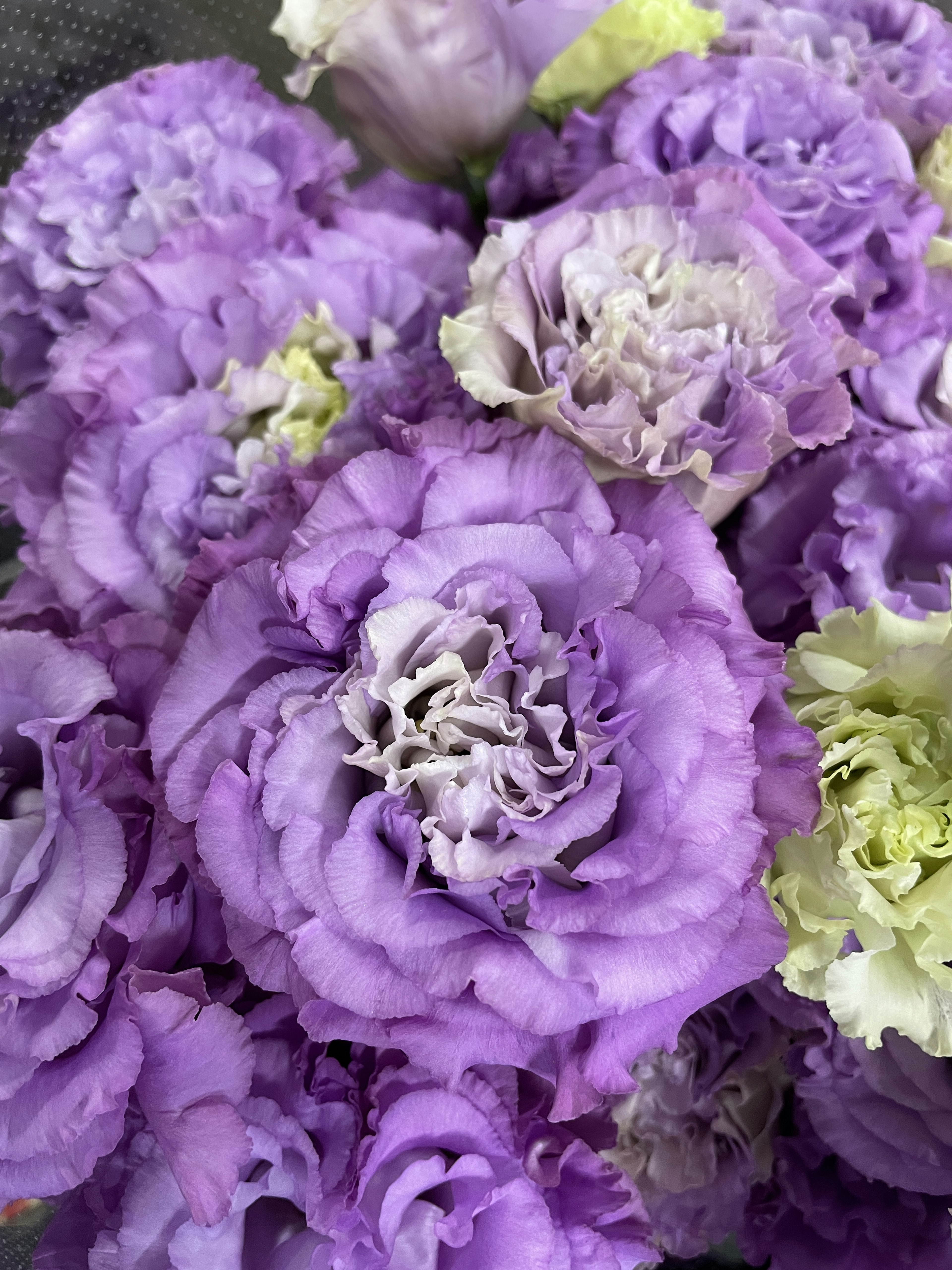 Primo piano di un bouquet pieno di fiori viola