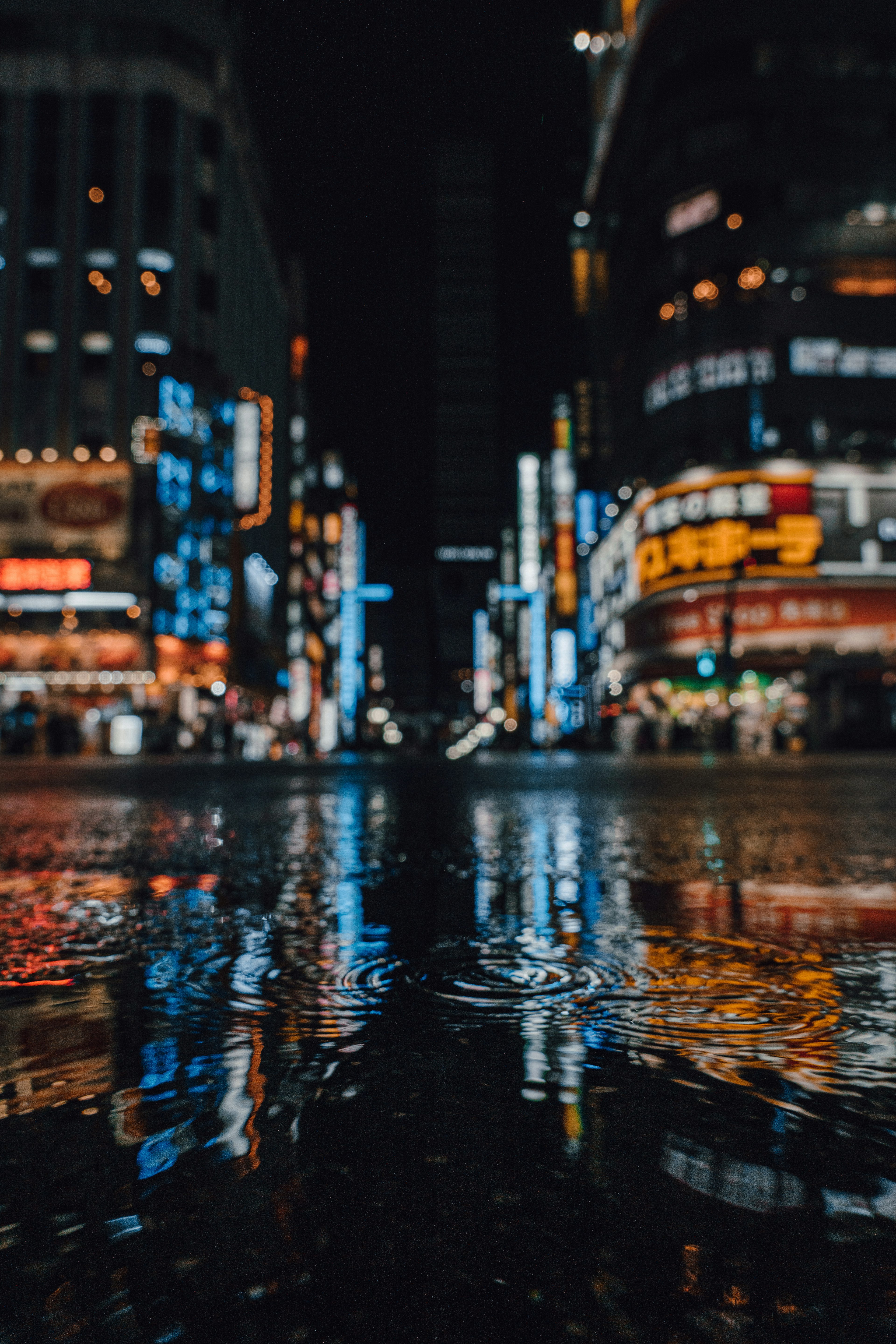 Reflets des lumières néon sur le pavé mouillé la nuit