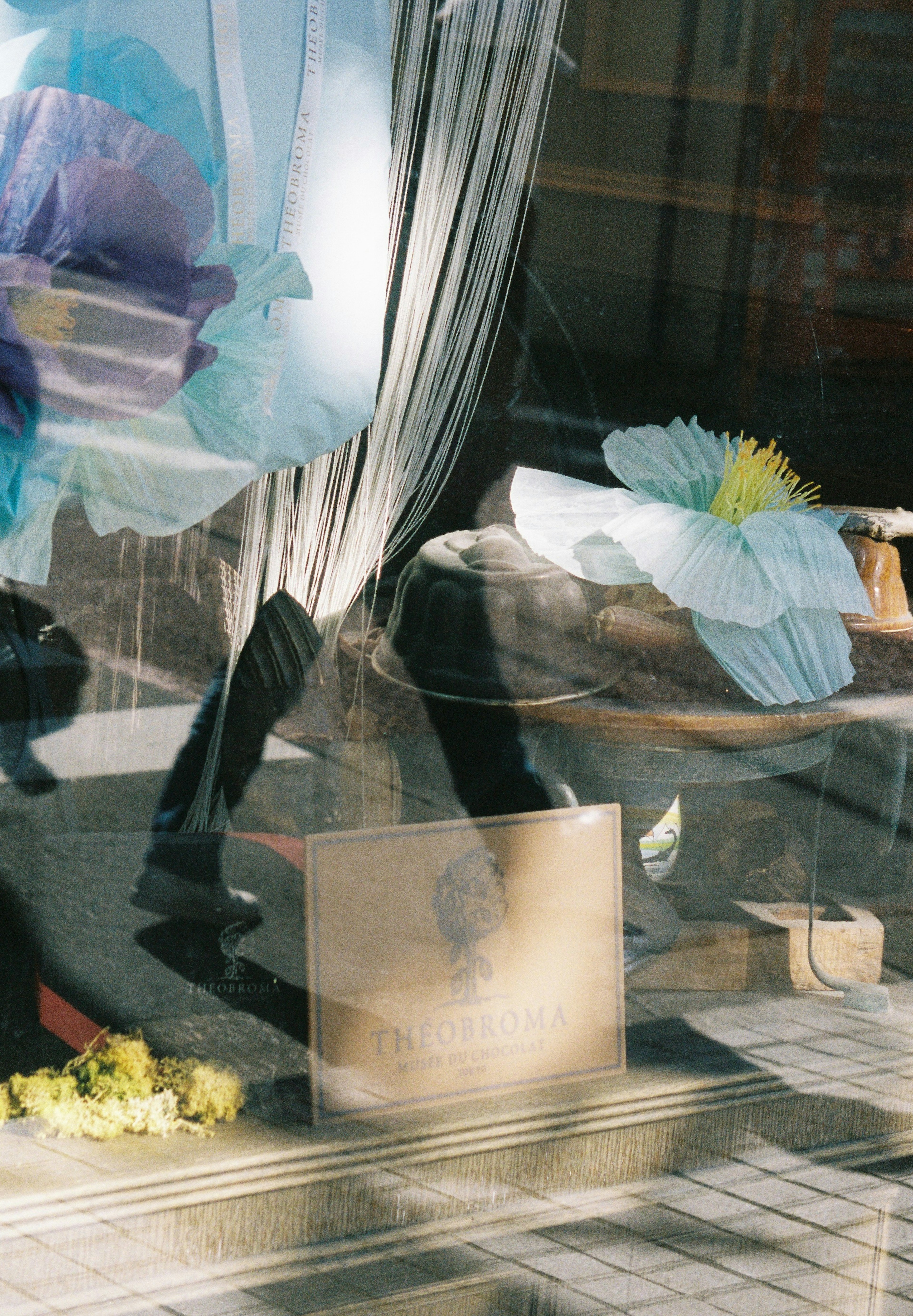 Colorful flowers and curtains visible through glass display