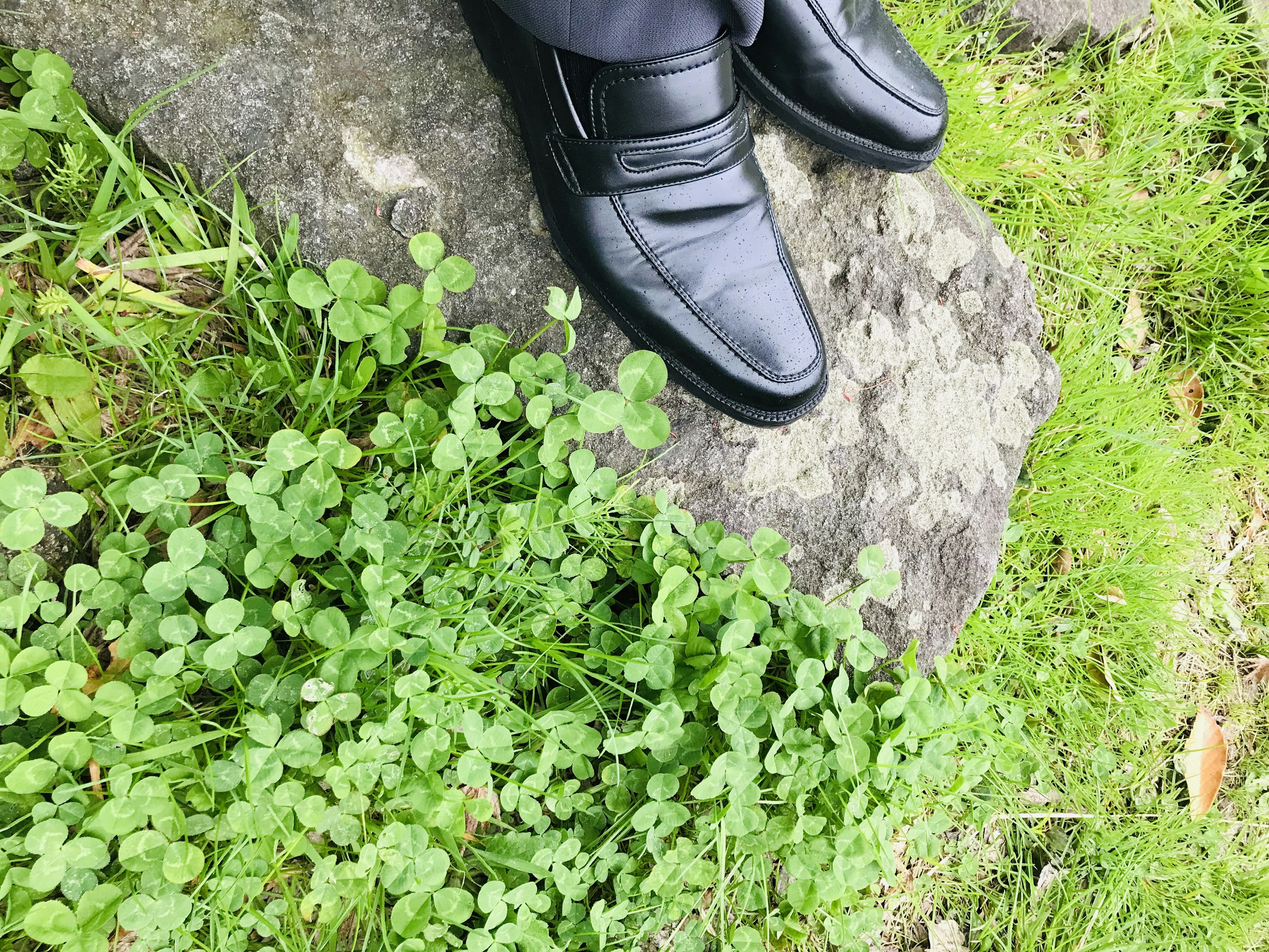 Black shoes resting on a rock surrounded by green grass