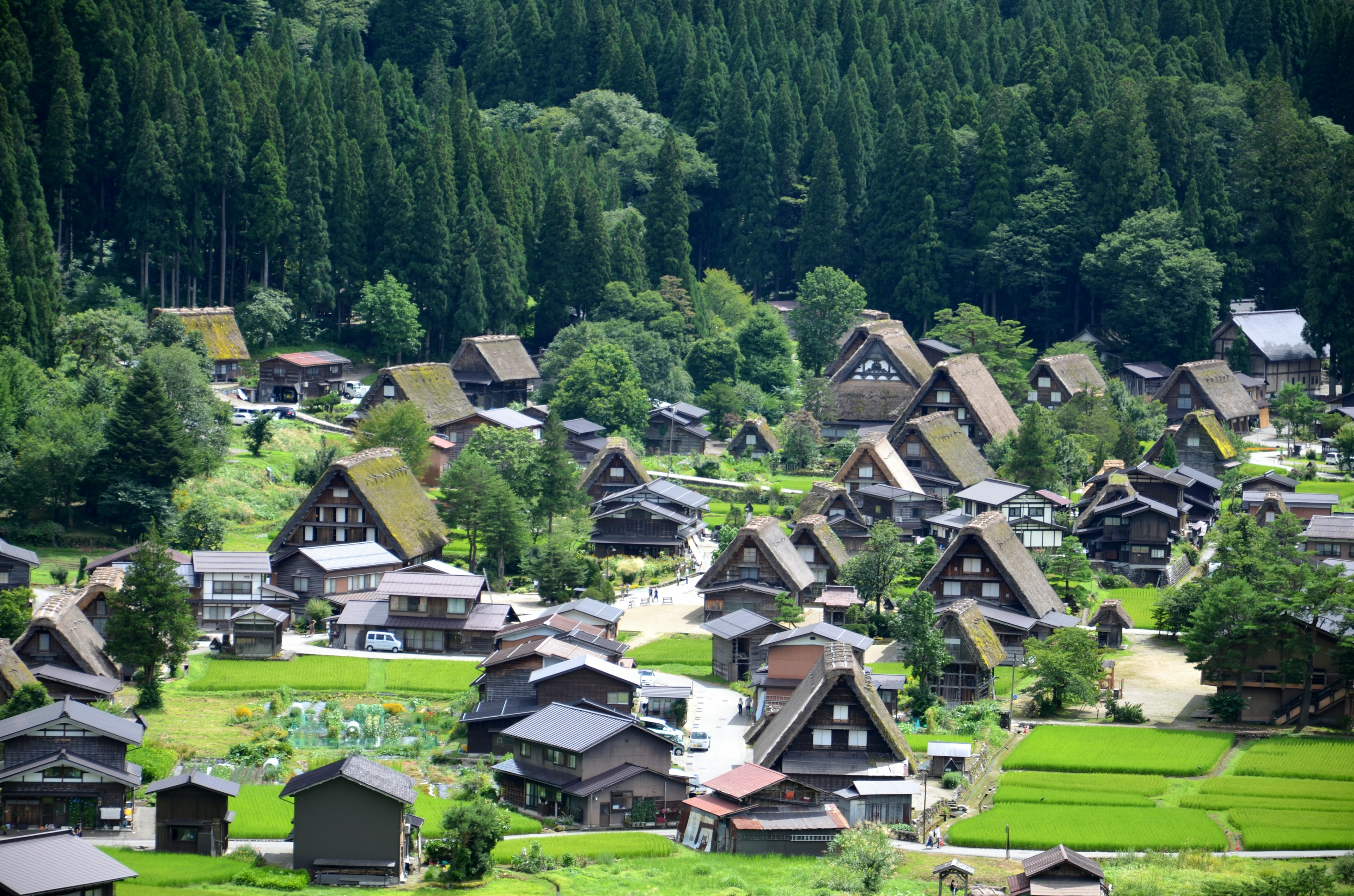 Paysage de village traditionnel gassho-zukuri entouré de montagnes