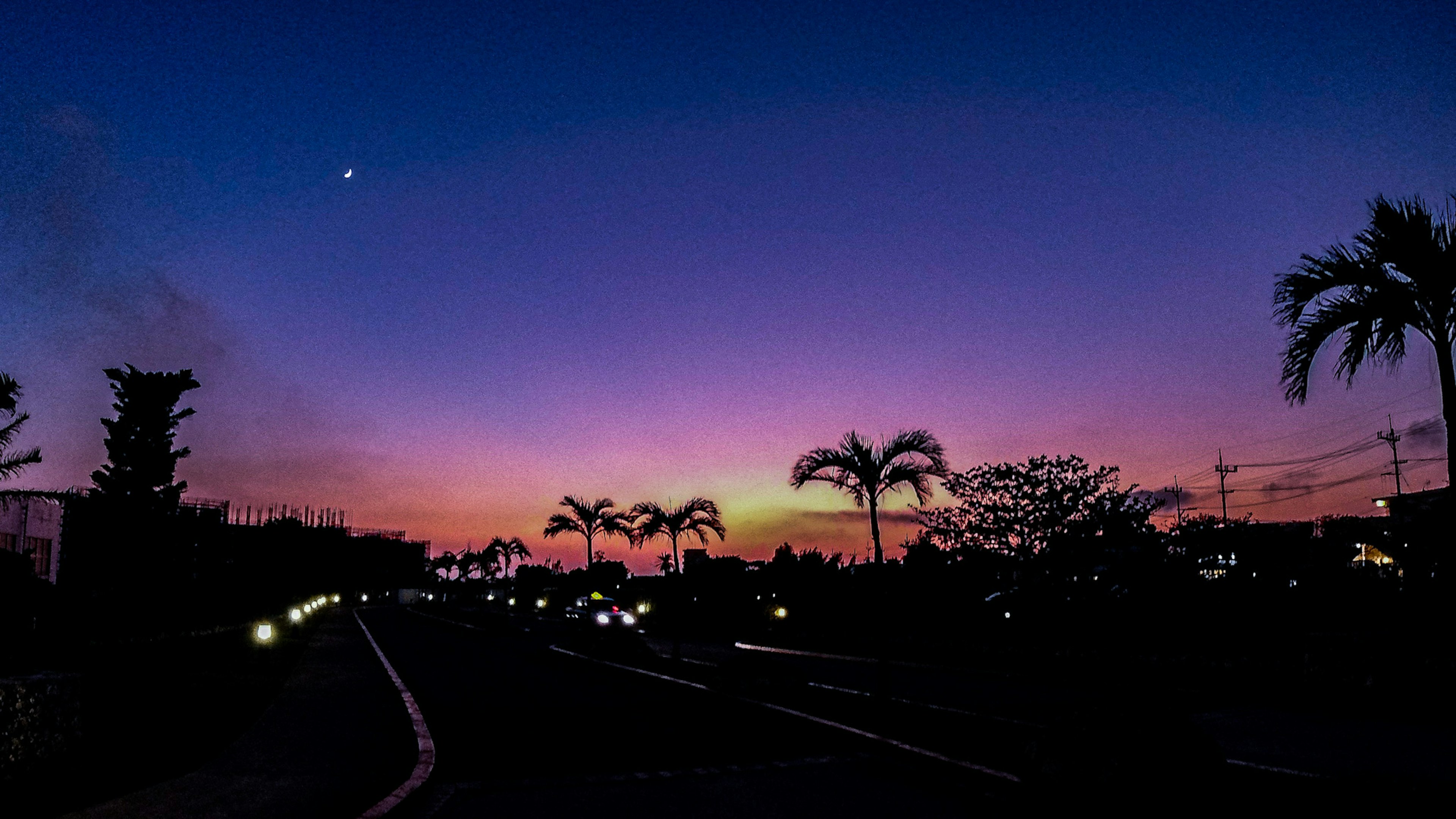 美しい夕焼けの空にパームツリーがシルエットとして映える風景