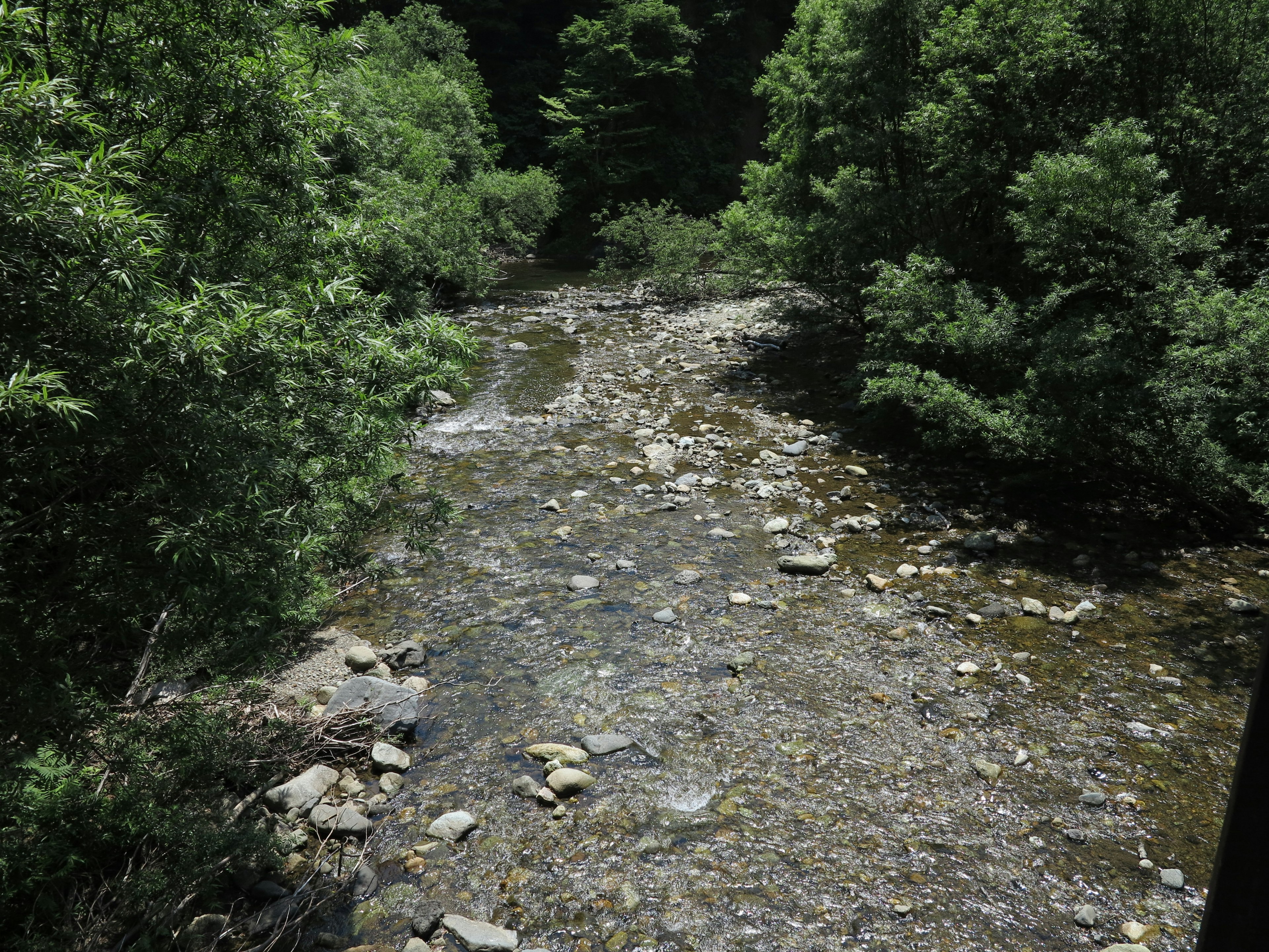 Scenic view of a clear stream surrounded by greenery with scattered stones