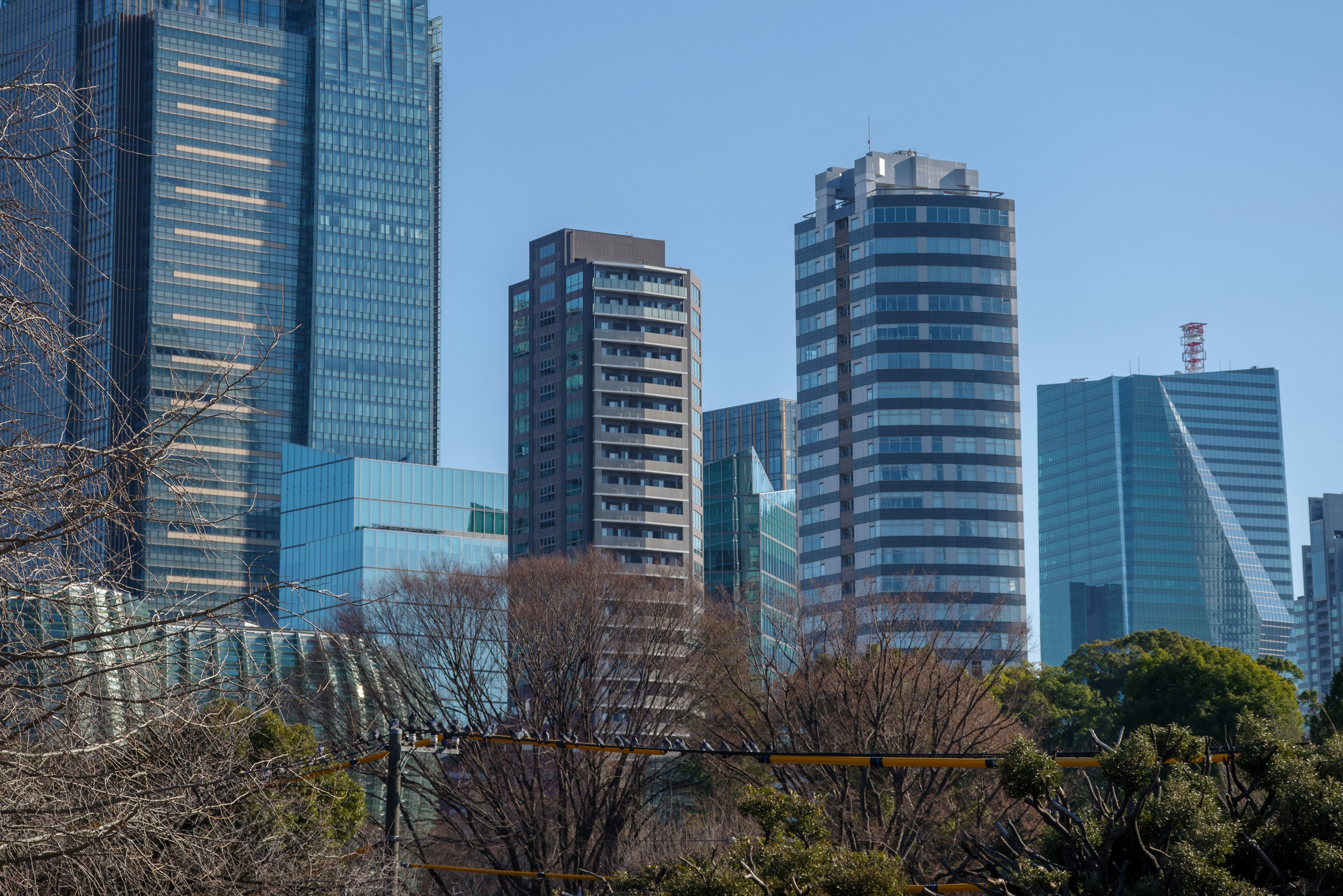 A cluster of modern skyscrapers under a bright sky with greenery