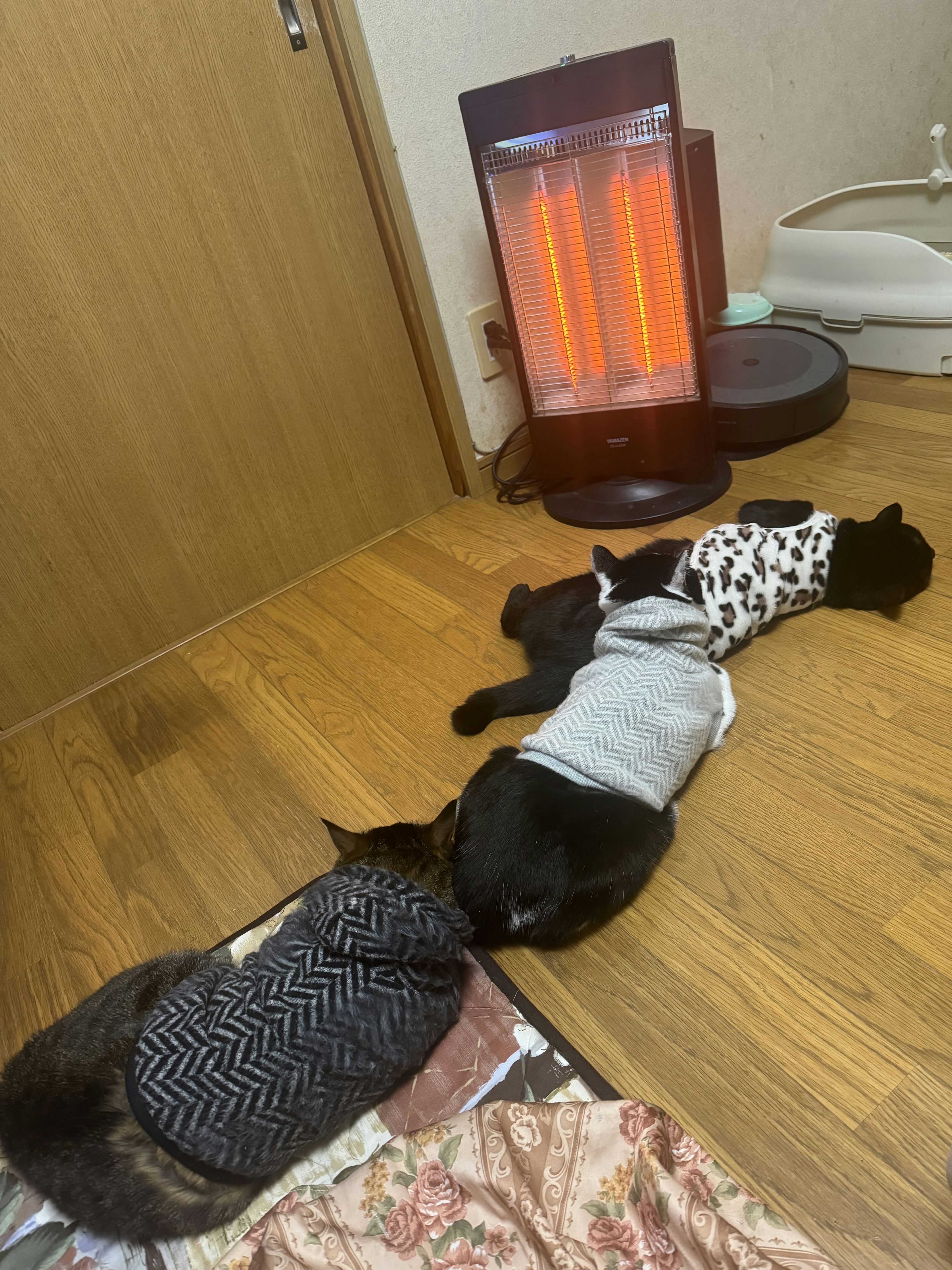 Cats wearing sweaters relaxing in front of a heater