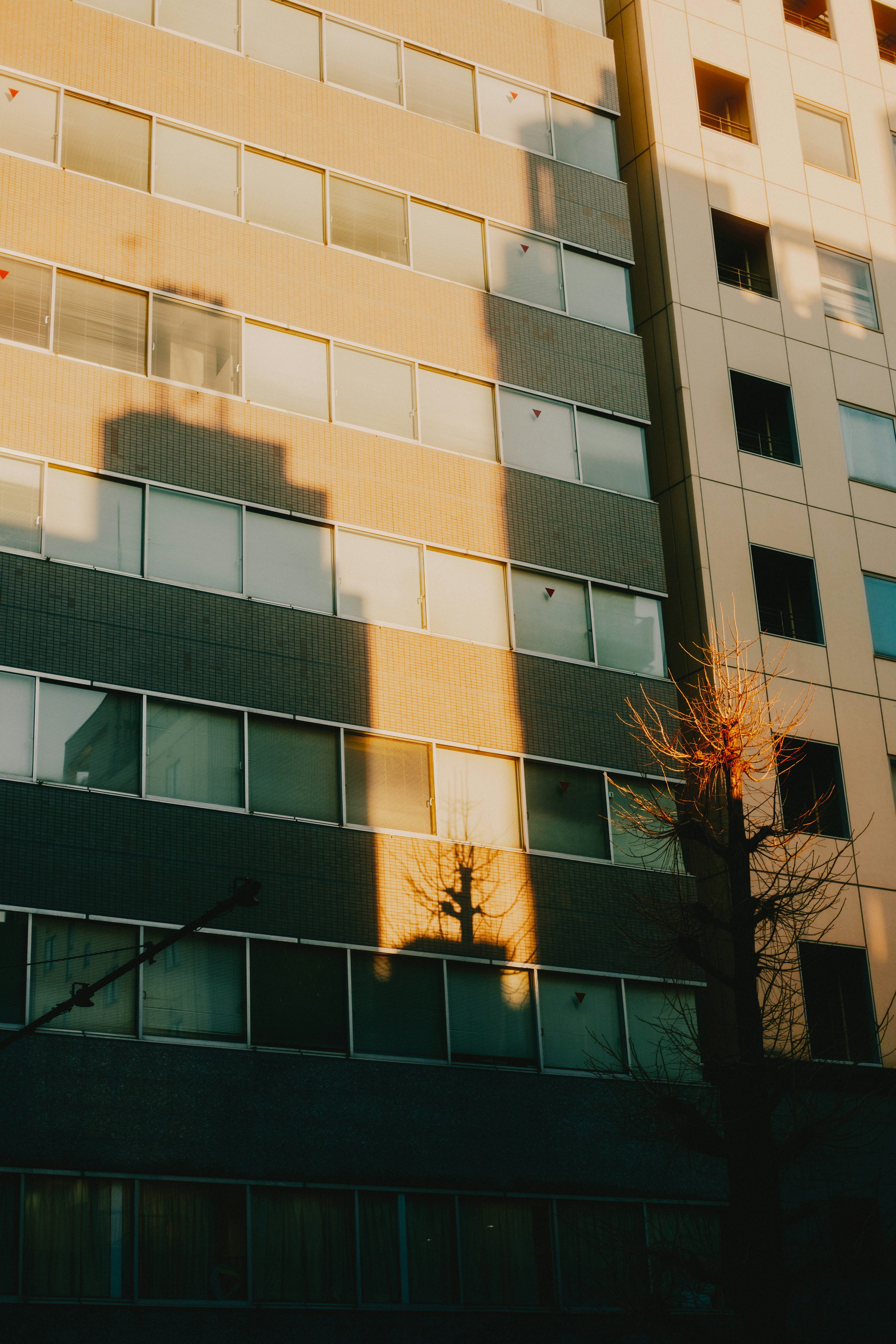 Sombra de un edificio en una pared iluminada por el atardecer