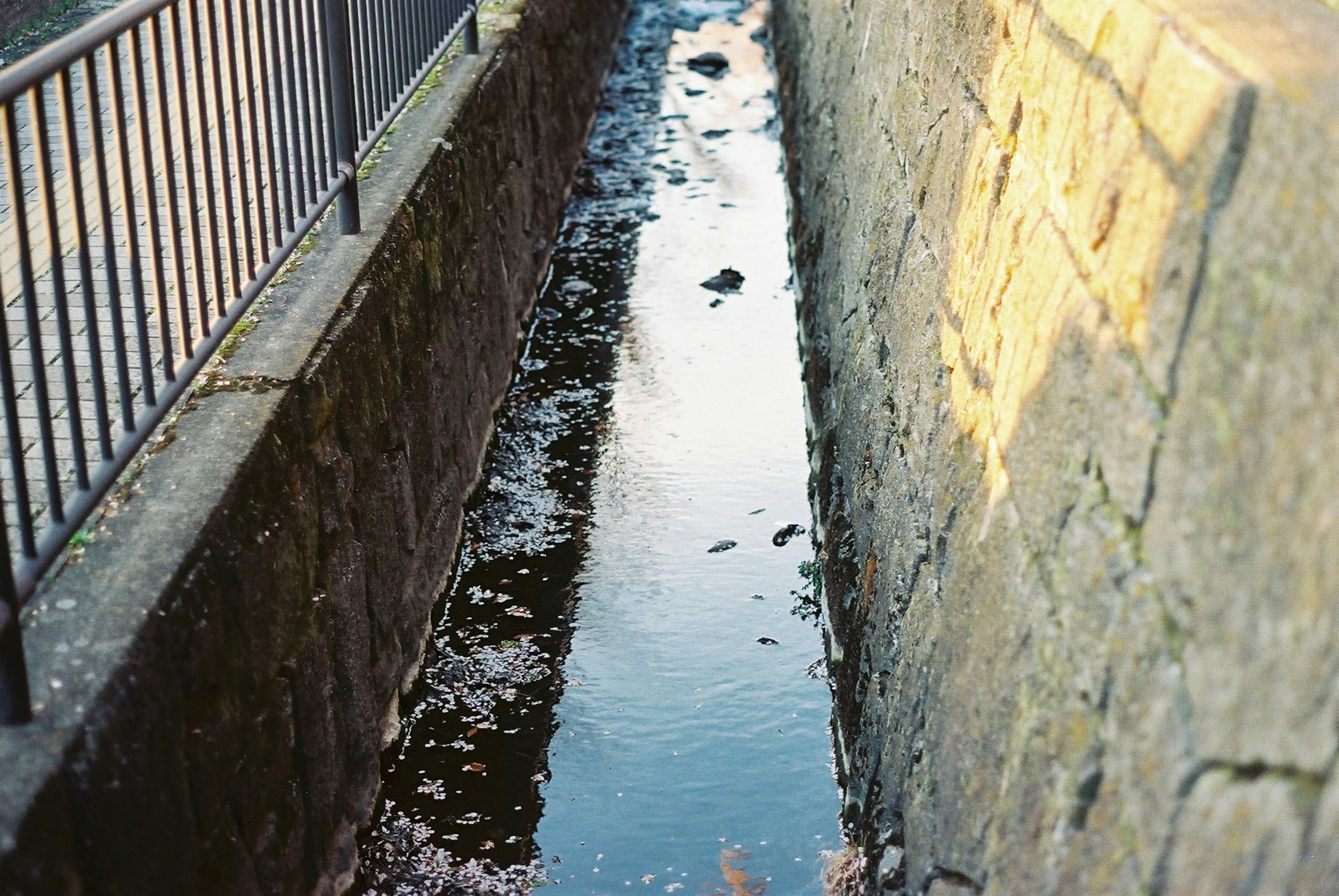 狭い水路の写真で、両側に石の壁と金属のフェンスが見える水面には落ち葉が浮かんでいる