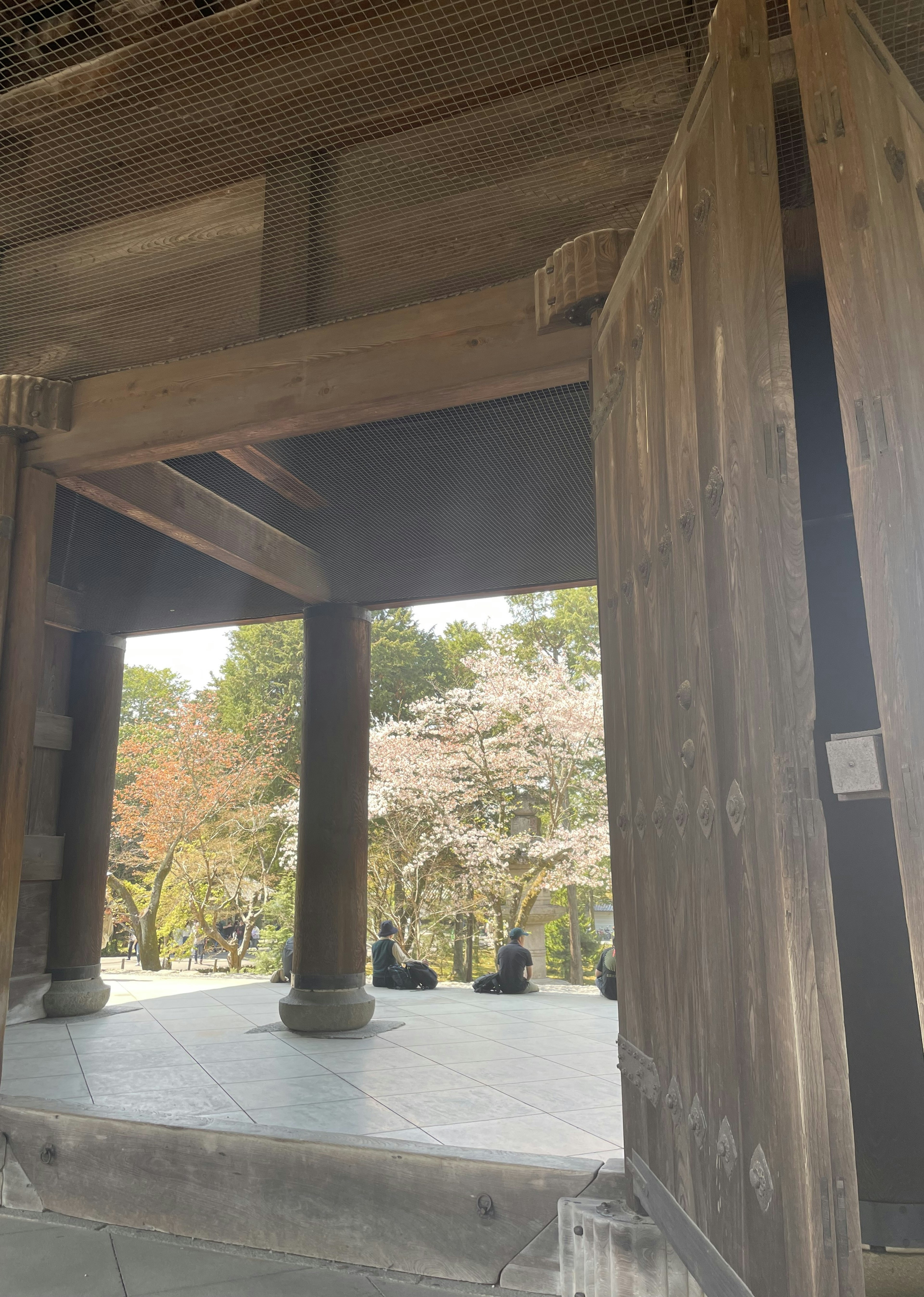 木製の門から見える桜の木と公園の風景