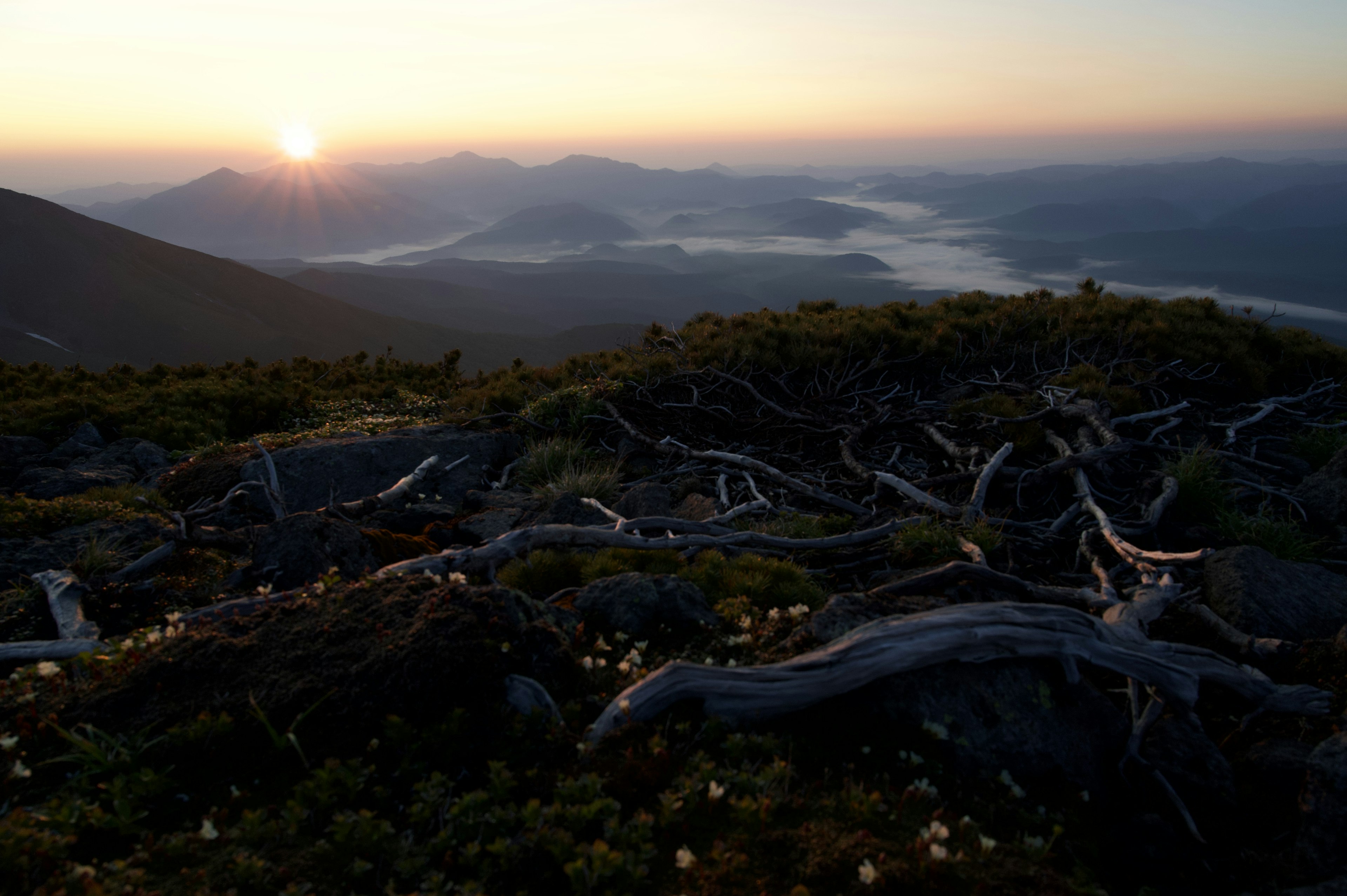 Pemandangan gunung saat matahari terbenam dengan akar terlihat dan area berumput