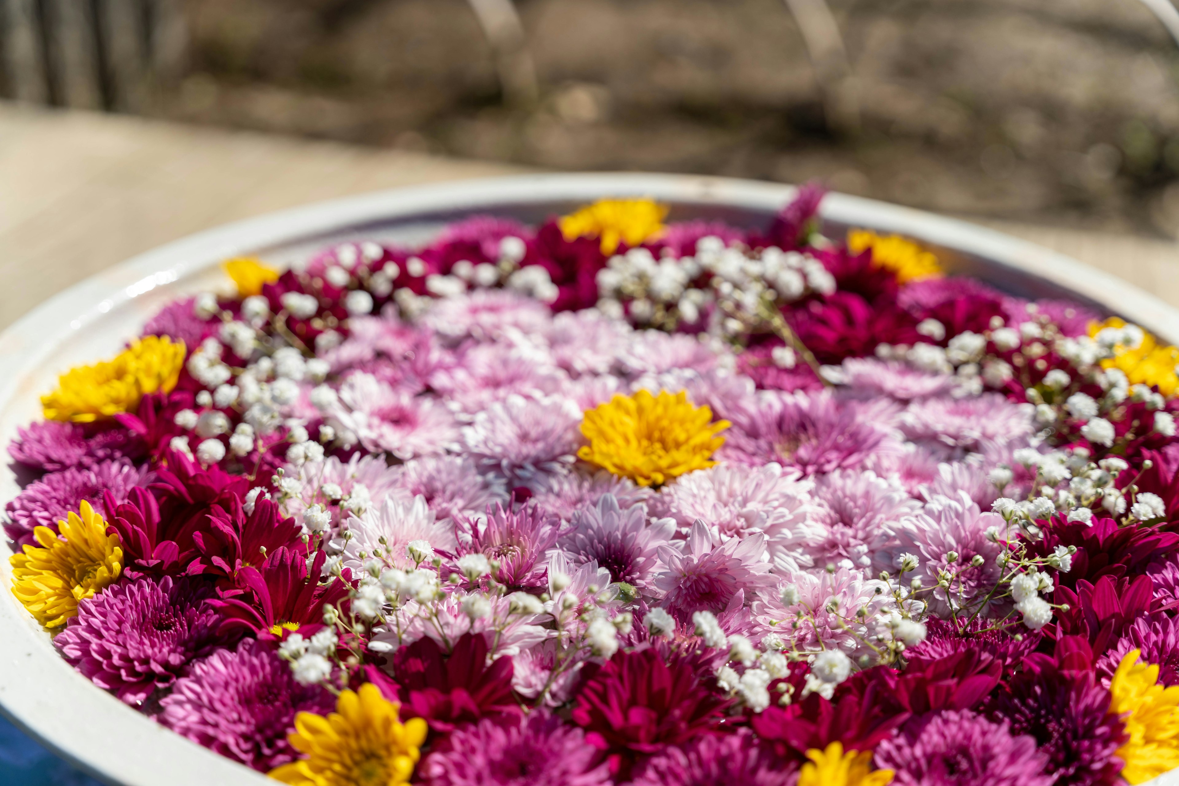 Decorative dish filled with colorful flowers arranged in a circular pattern