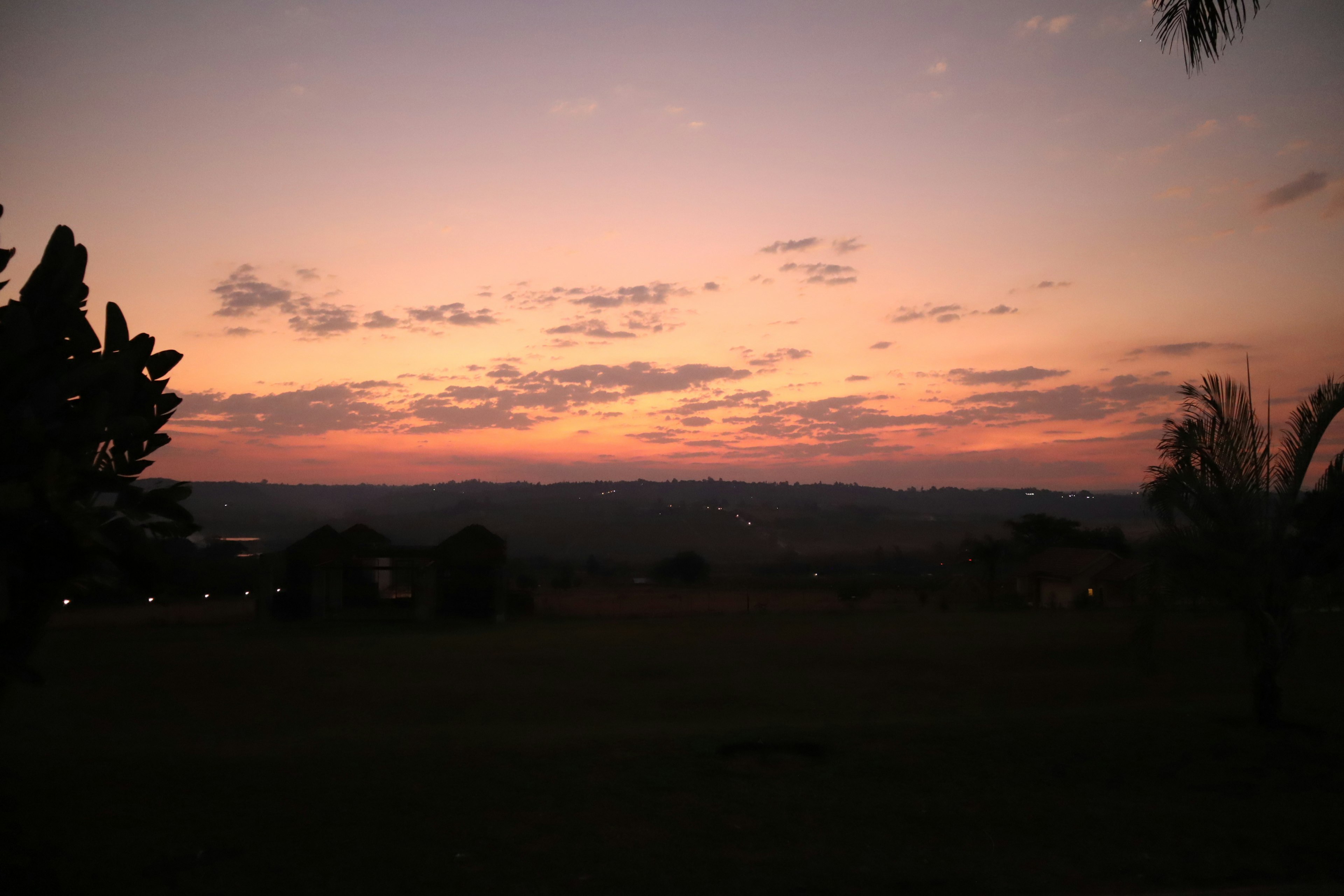 夕焼けの空とシルエットの木々が広がる風景