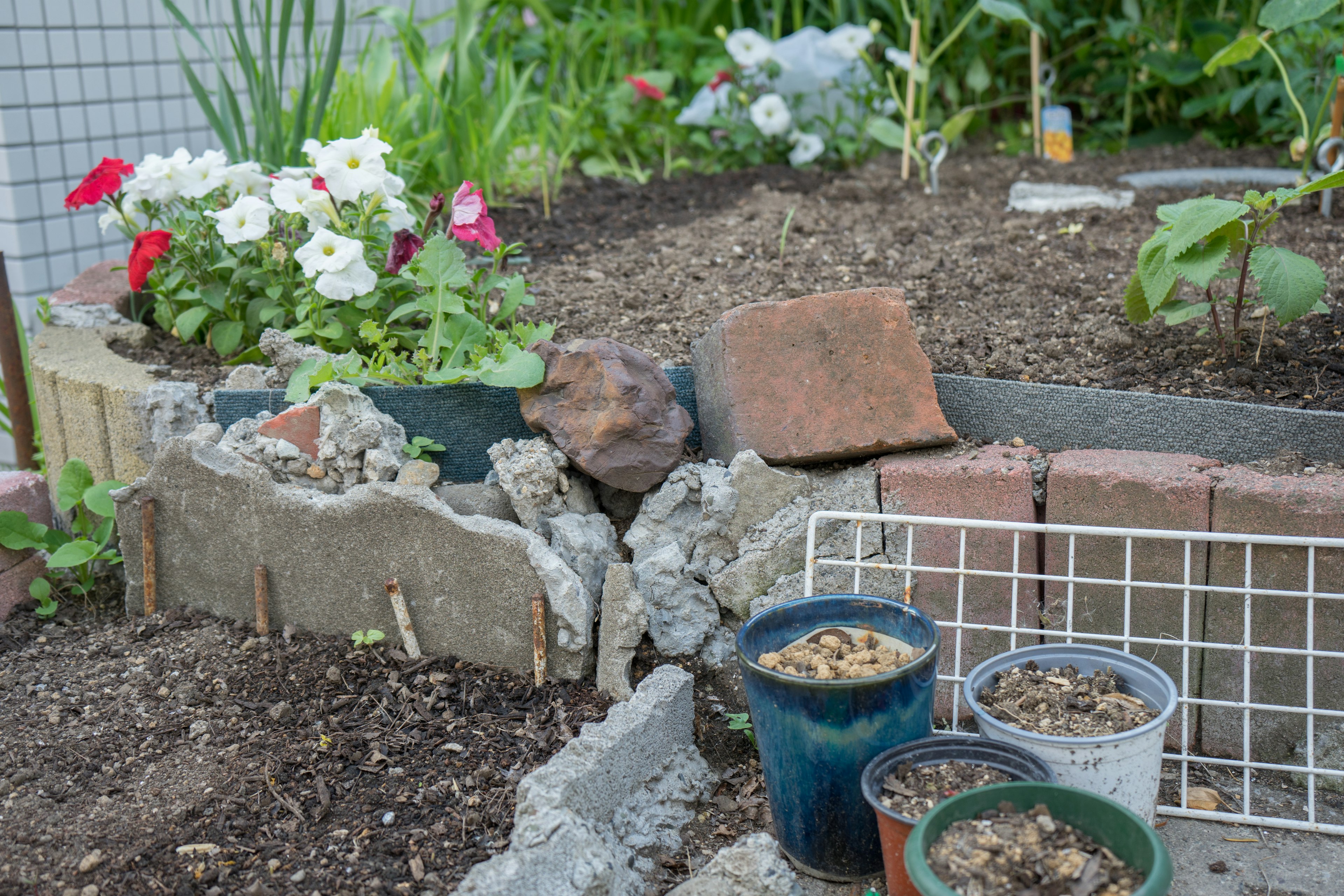 Una escena de jardín con flores coloridas y plantas en macetas con un borde de piedra