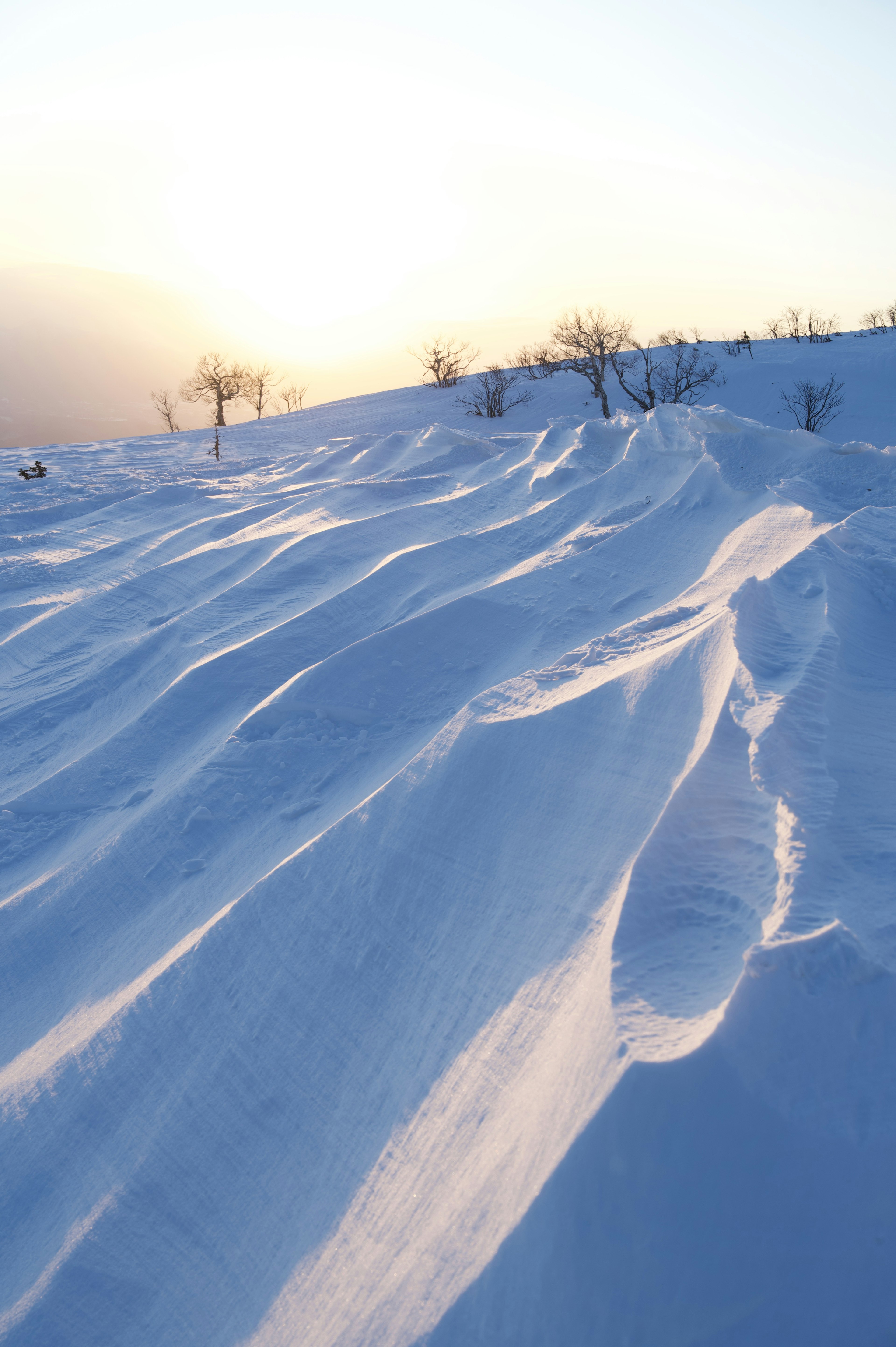 被雪覆蓋的山丘和夕陽的柔和光線