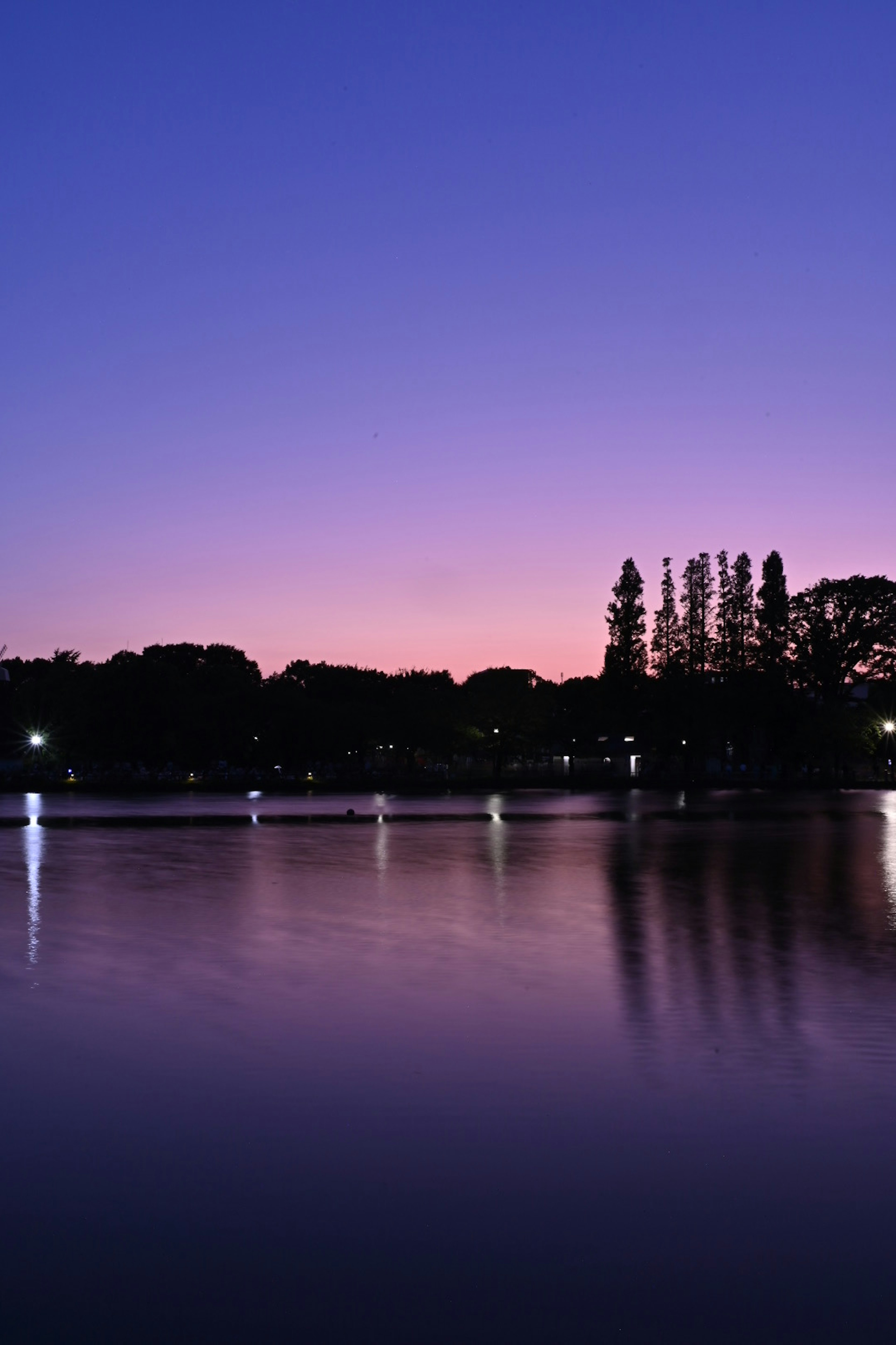 Pemandangan danau saat senja dengan siluet pohon