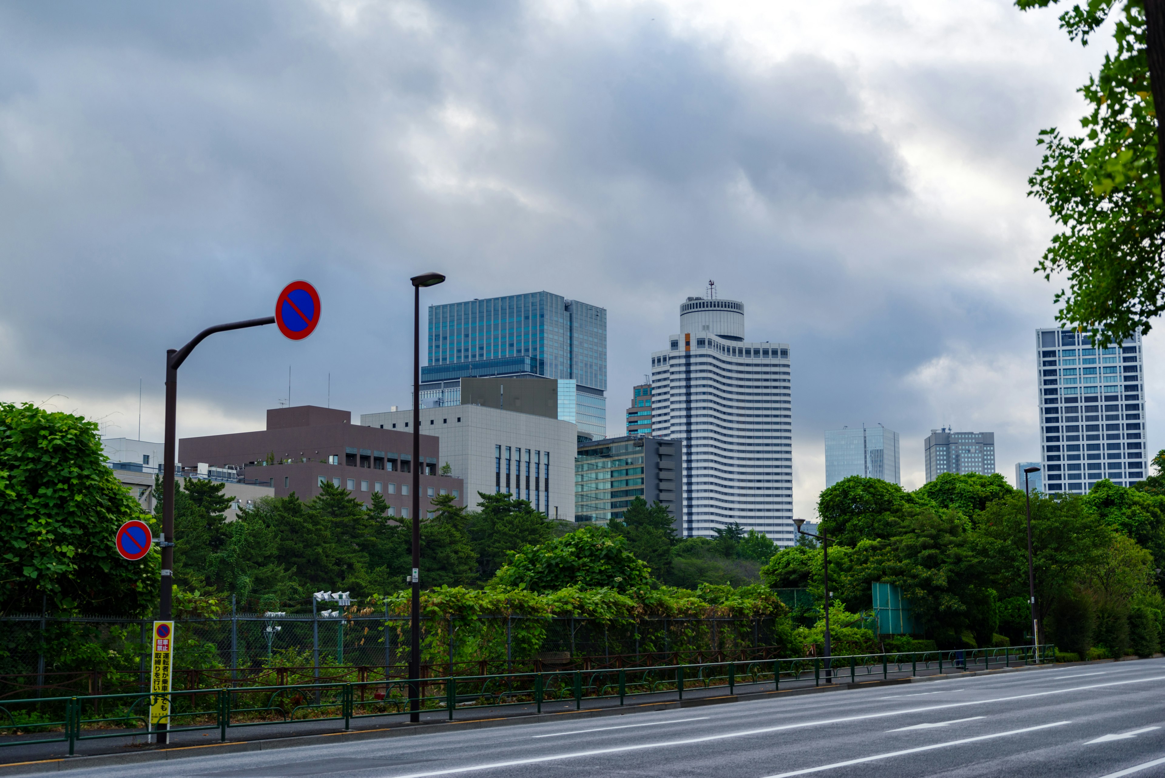 城市天际线，现代建筑和茂密绿树