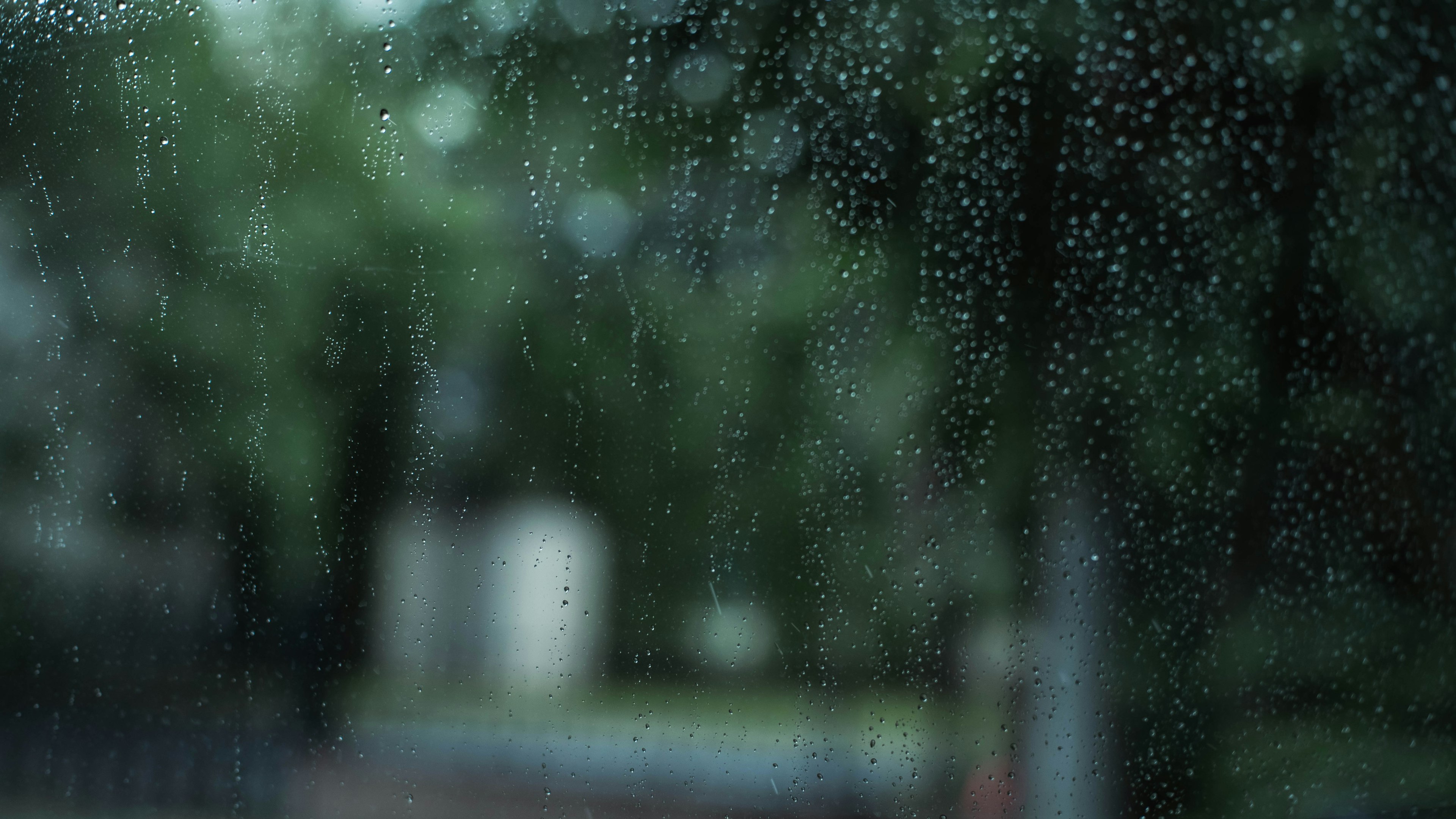 Blurred view of greenery through a rain-speckled window