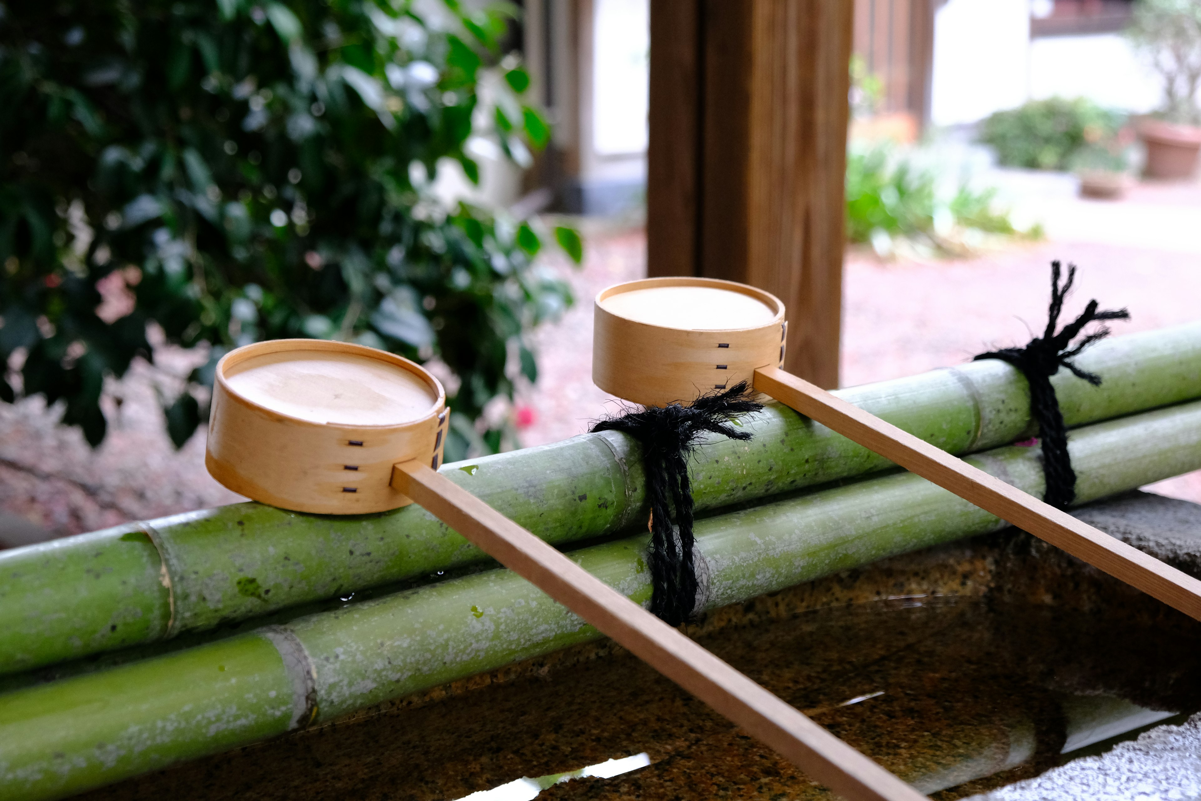 Two wooden ladles resting on a bamboo water basin surrounded by greenery