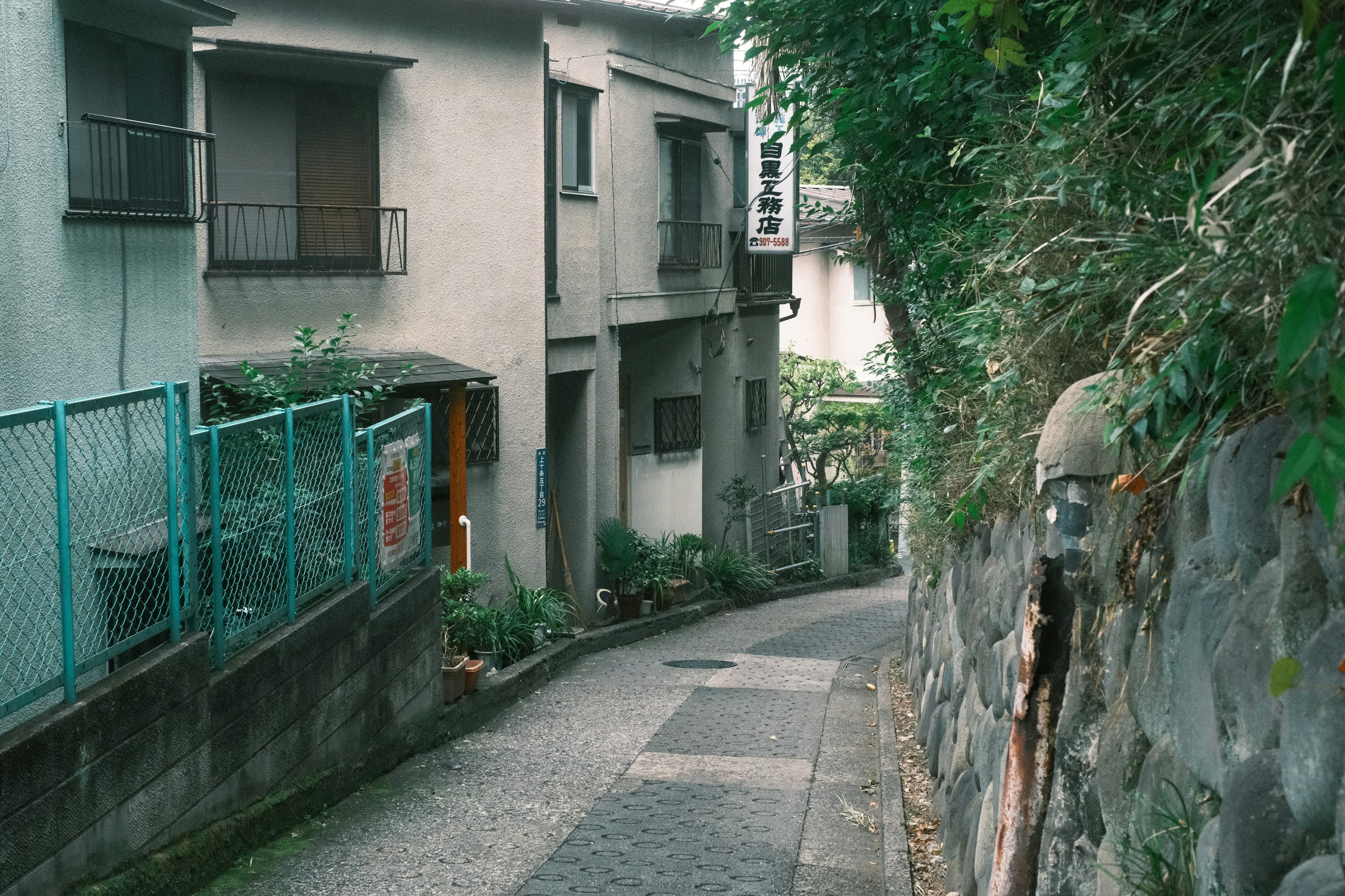 狭い道に沿った古い住宅街と緑の植物