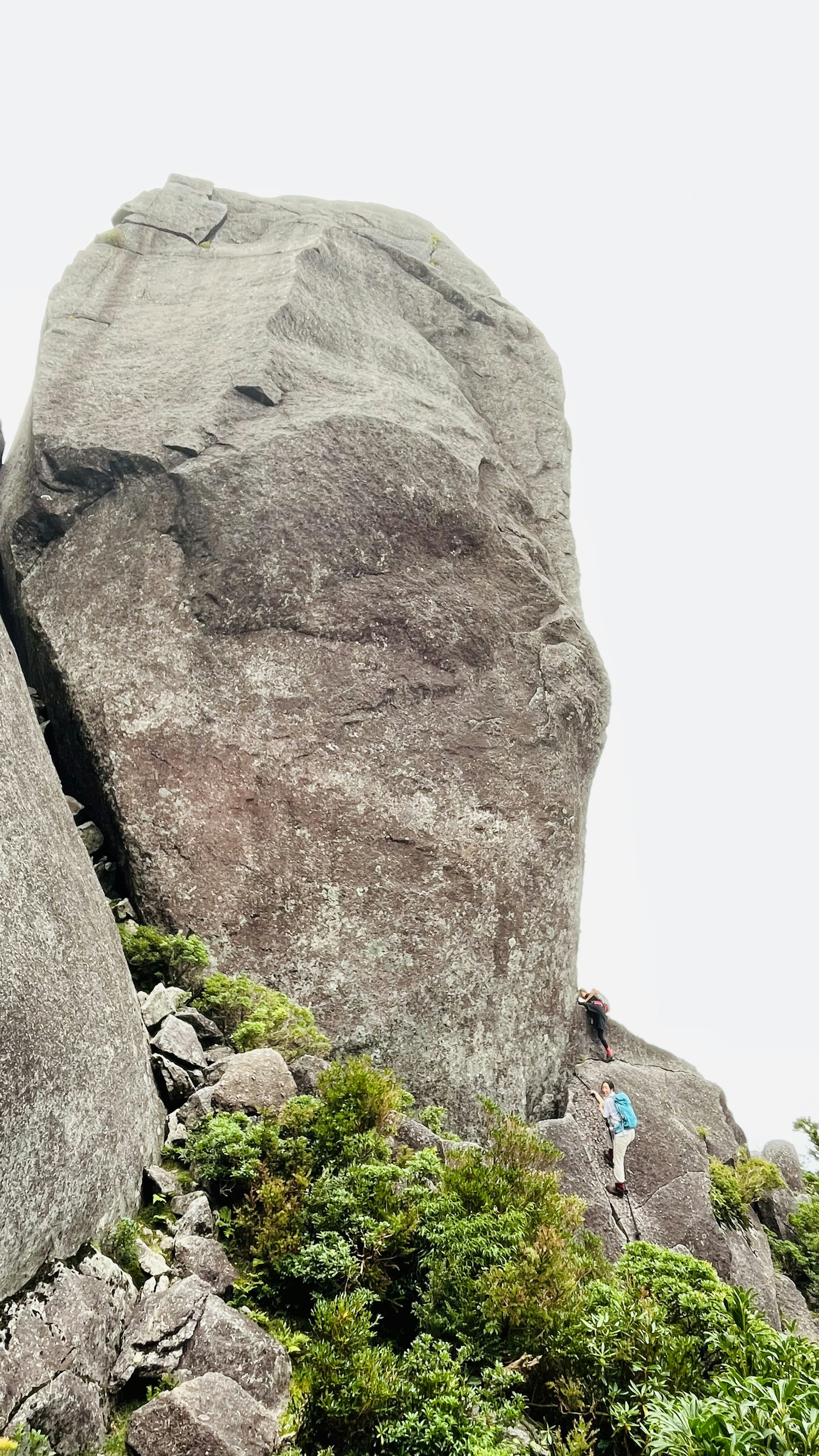 大きな岩と緑の植物を背景に登山者がいる風景