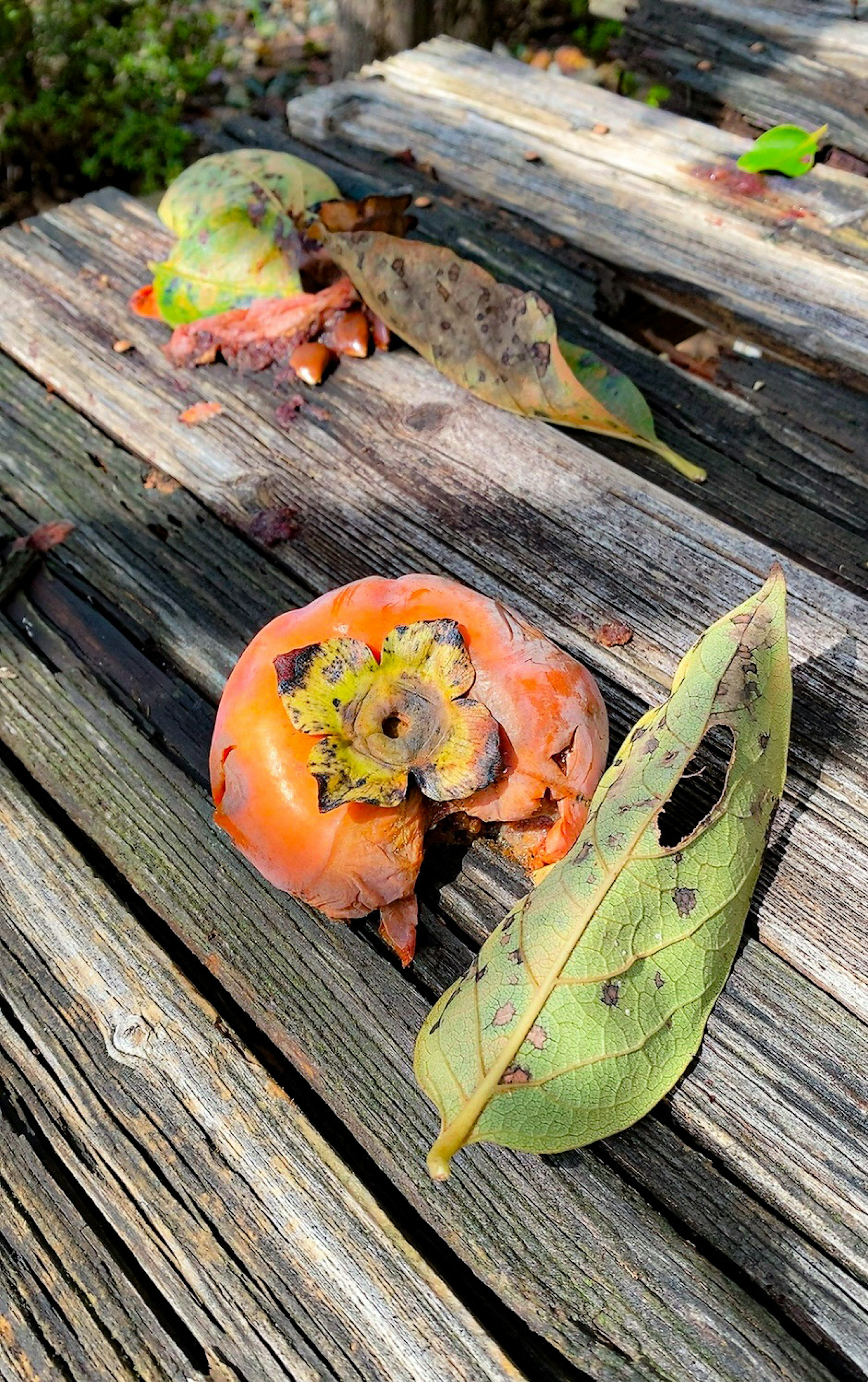 Kaki mûrs et feuilles sur des planches en bois