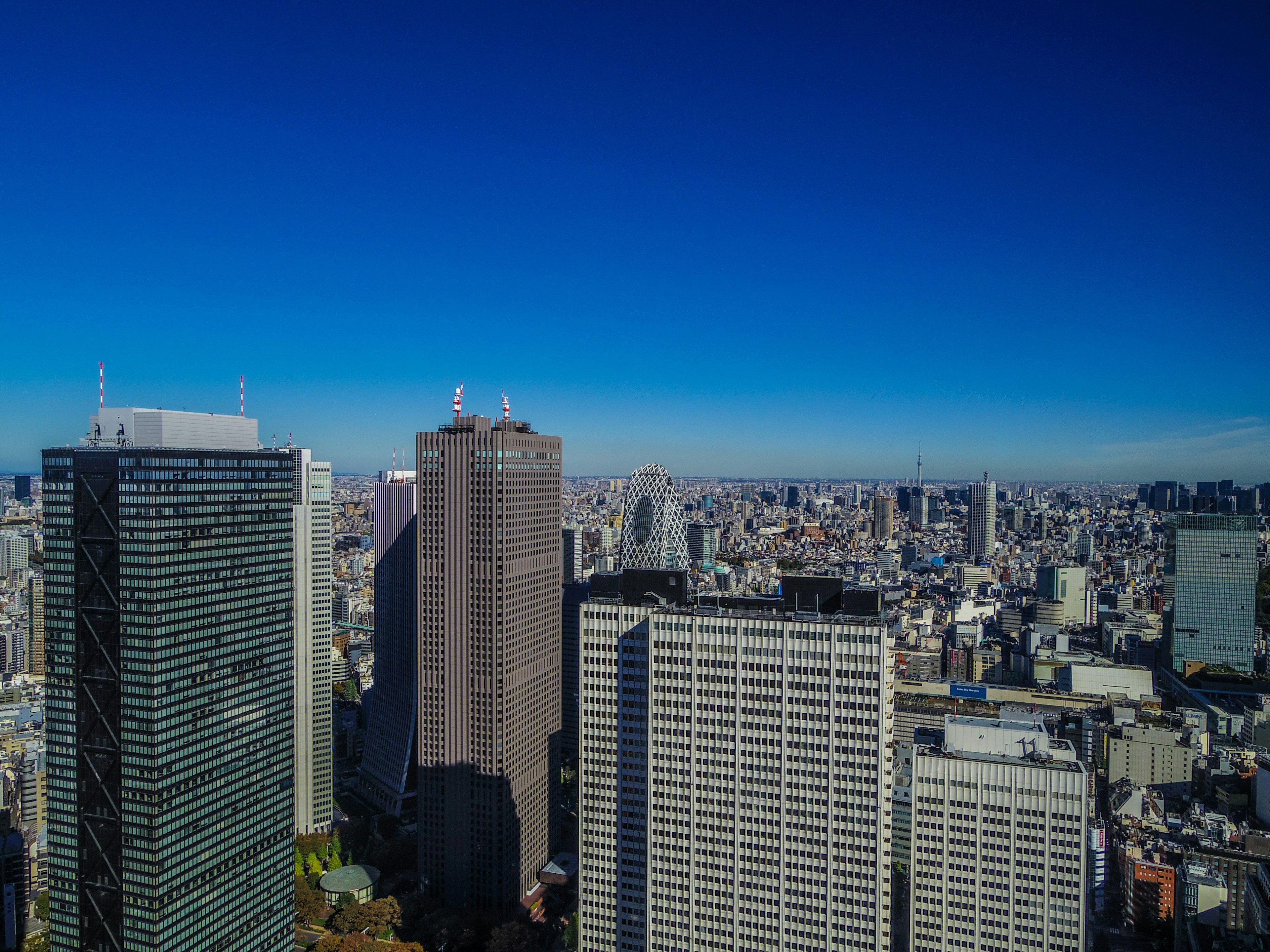 Panoramablick auf Tokios Wolkenkratzer unter einem klaren blauen Himmel