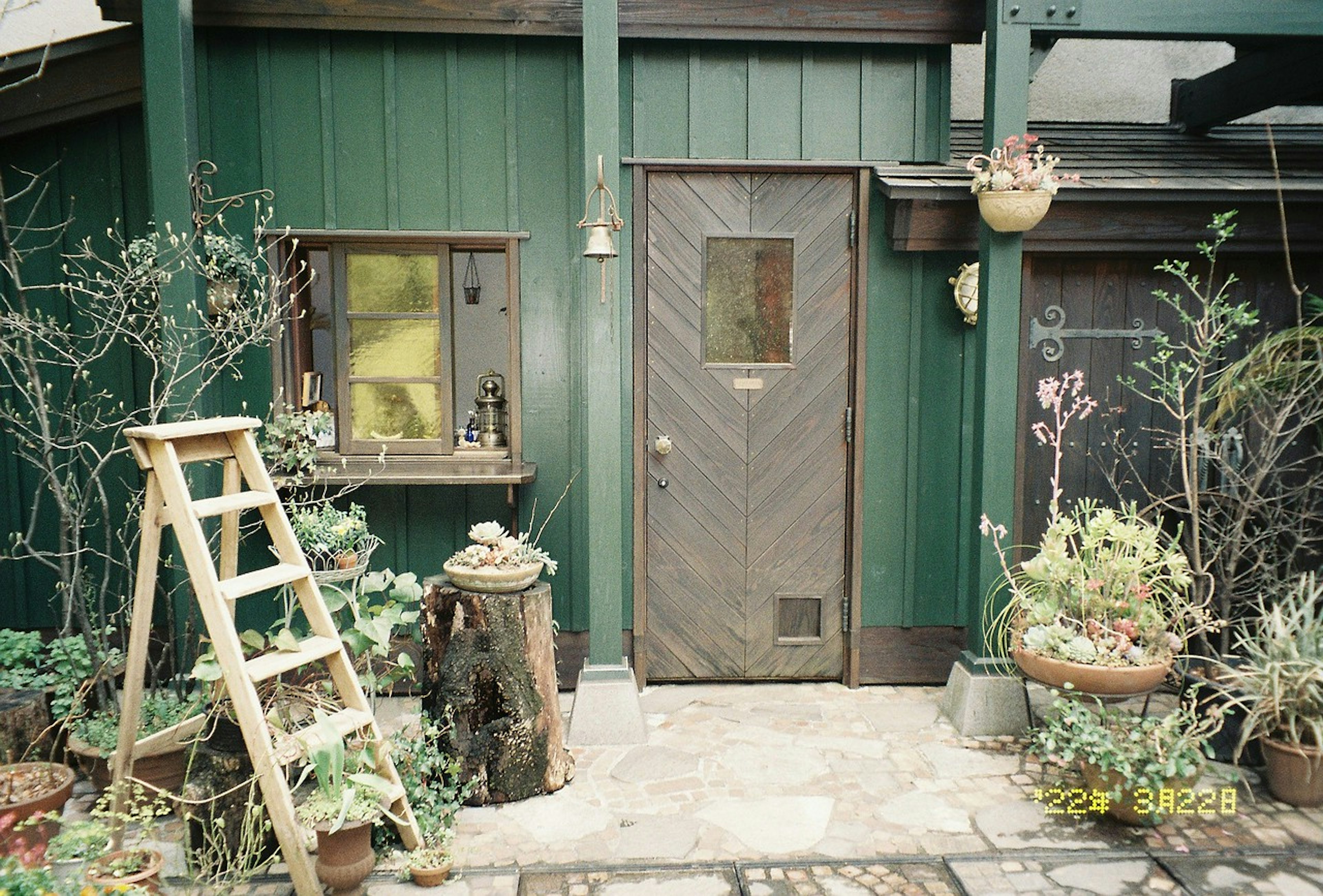 緑色の壁を持つ家の入口に植物が飾られた風景