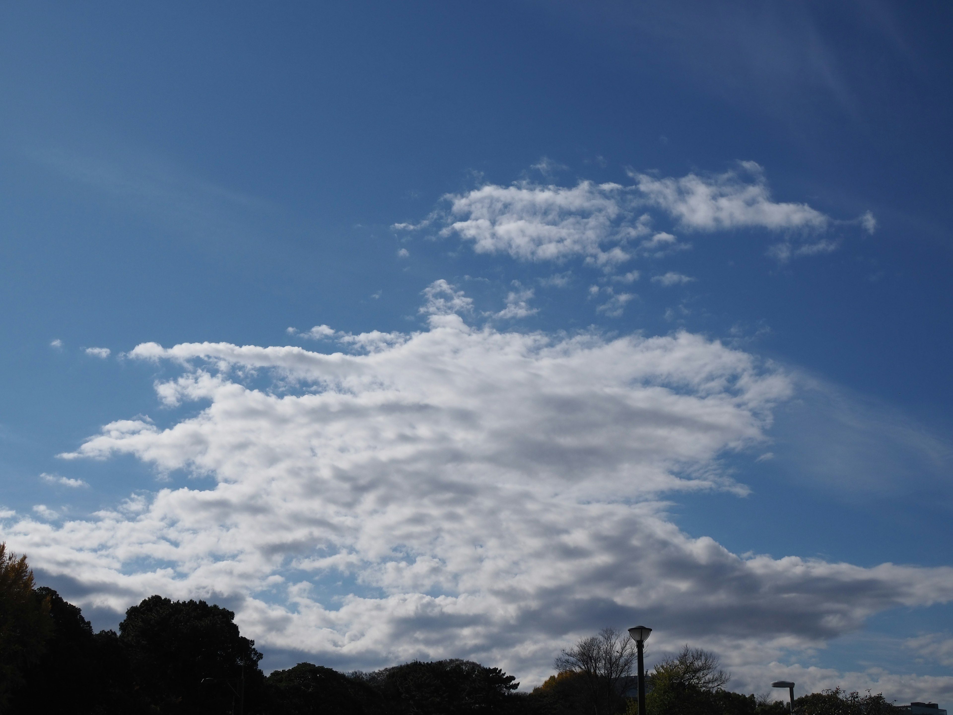 Nubes blancas en un cielo azul con árboles verdes