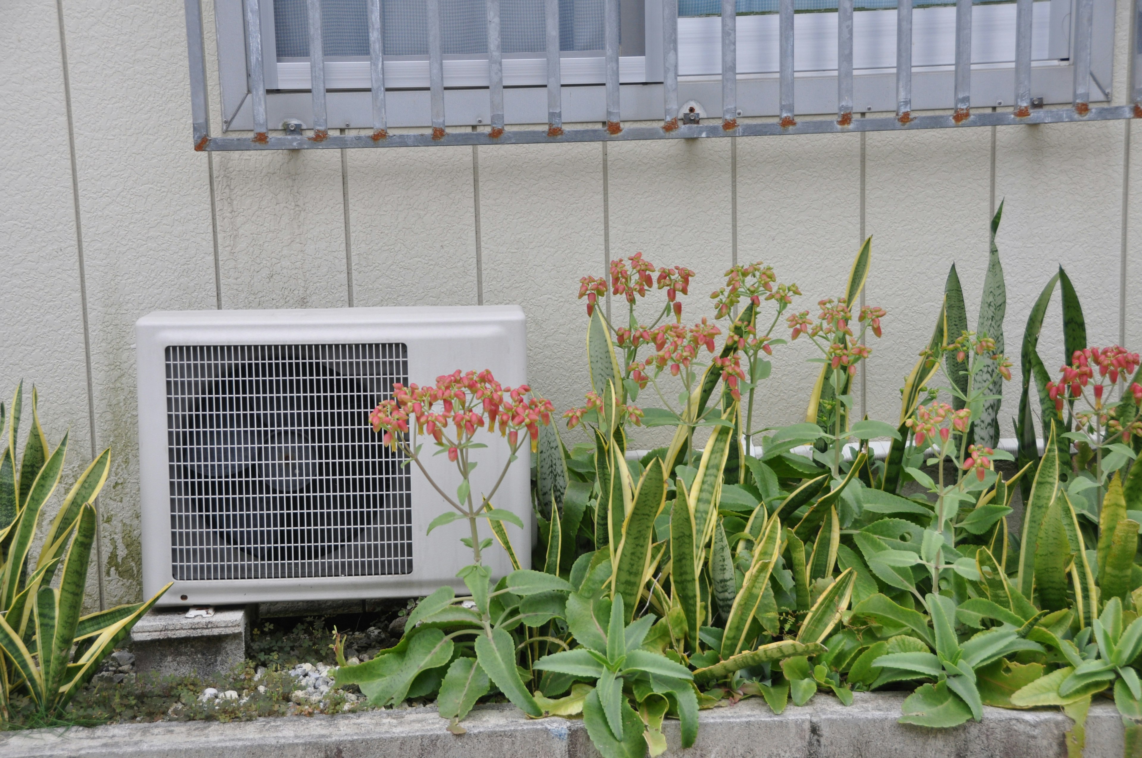 エアコンユニットと周囲の植物のある外壁