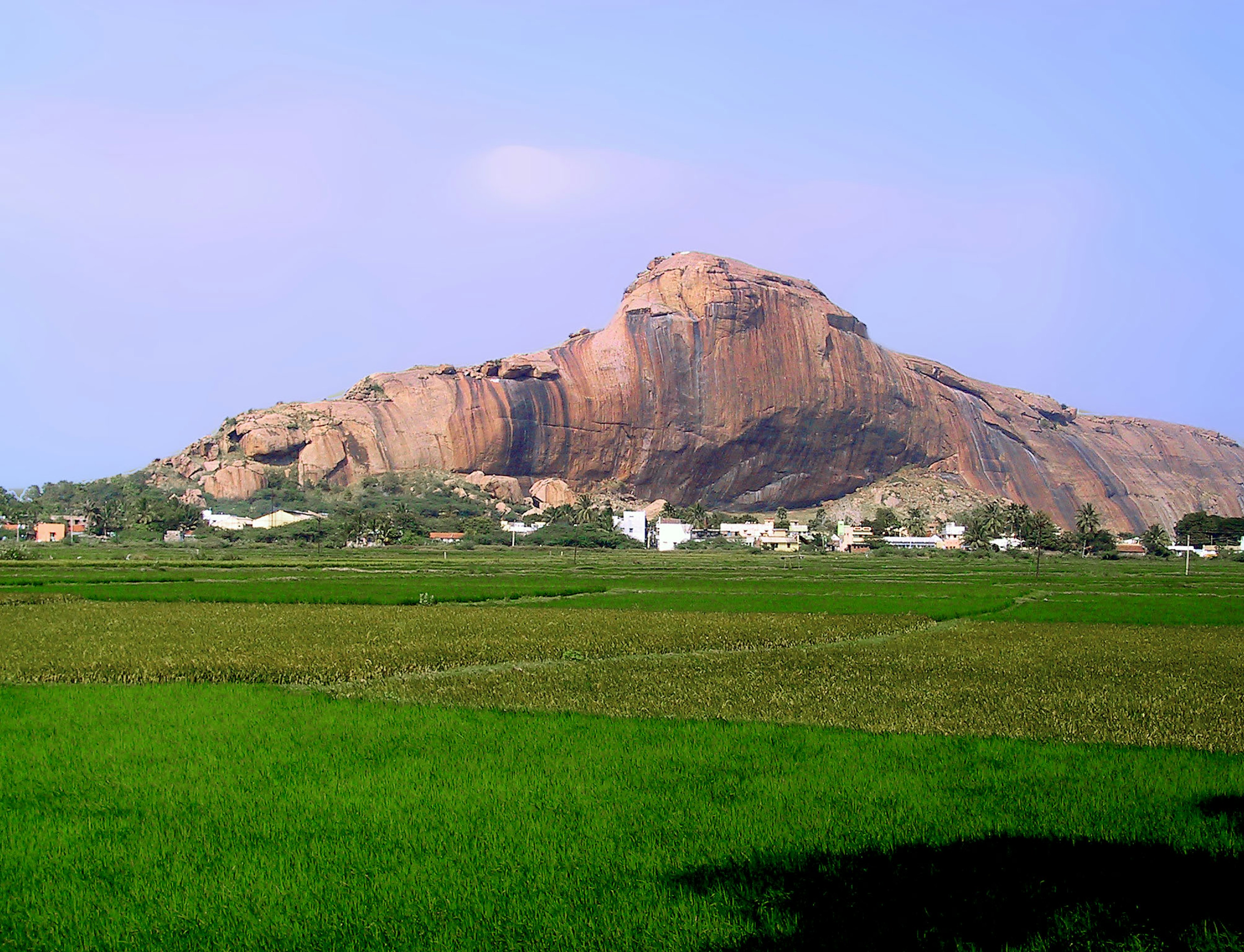 Paisaje con una colina rocosa y campos de arroz verdes