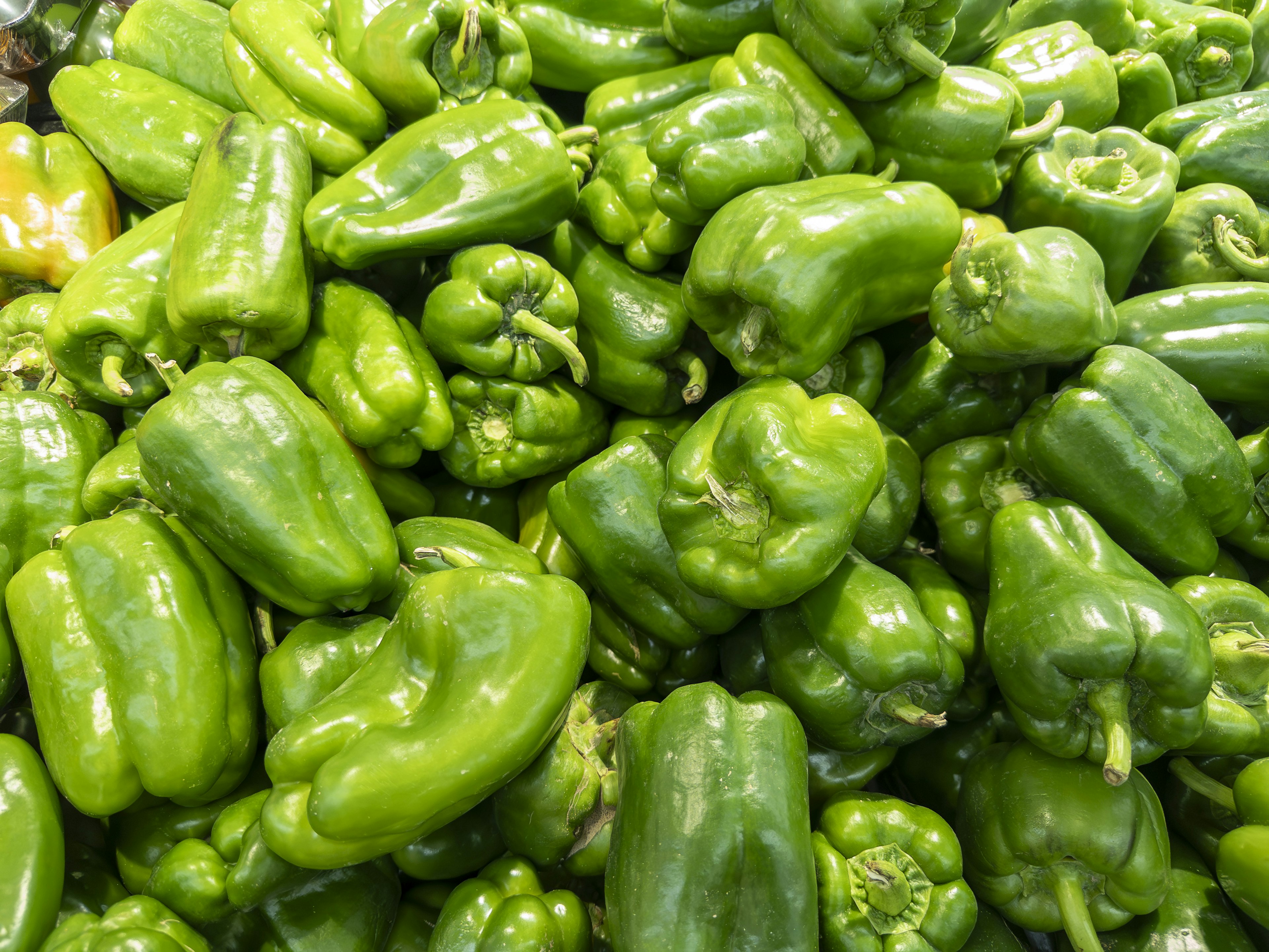 A large pile of fresh green bell peppers