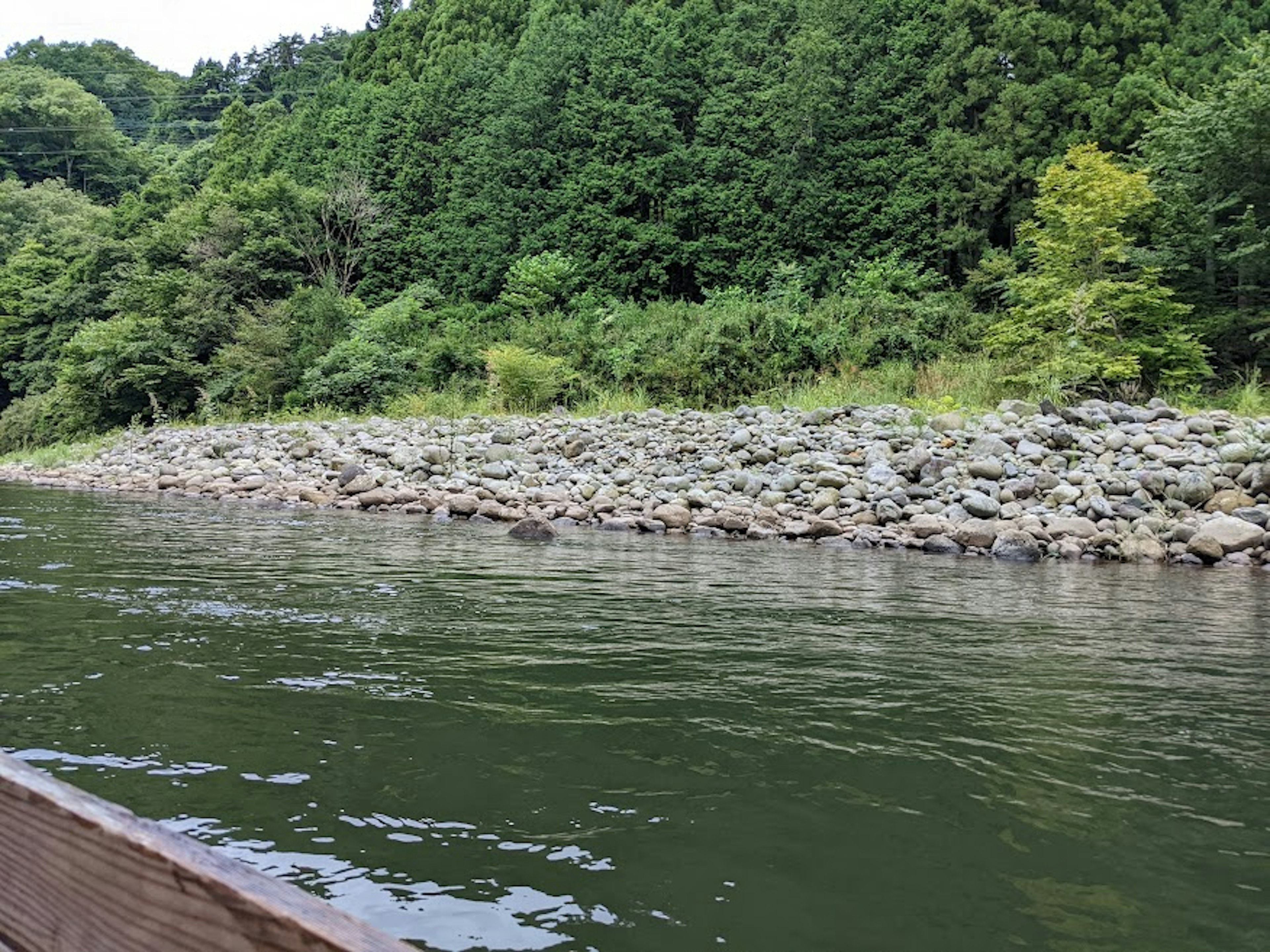 Rocks along a riverbank with lush green trees in the background