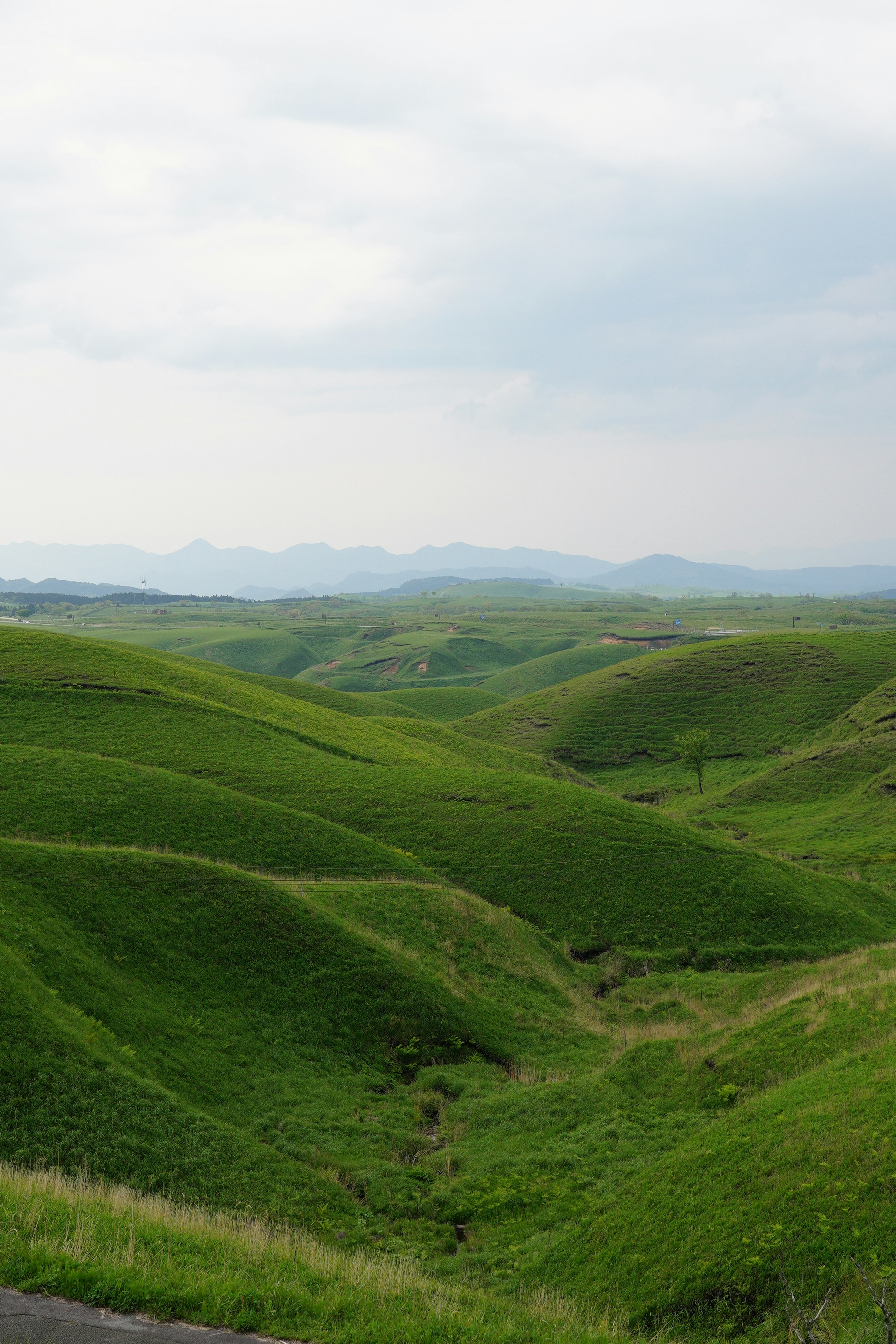 Collines verdoyantes sous un ciel nuageux