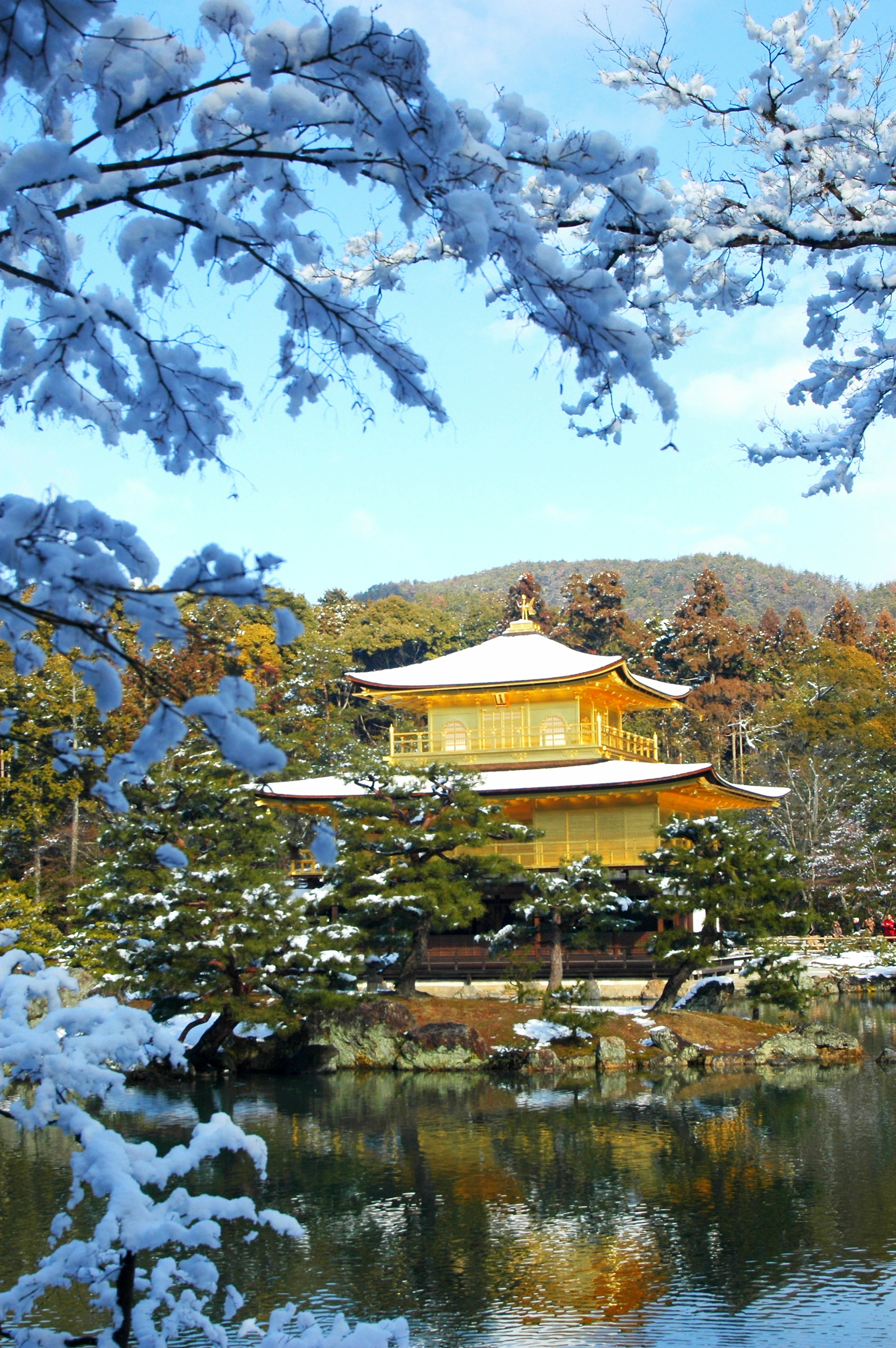 Kinkaku-ji coperto di neve circondato dalla bellezza della natura