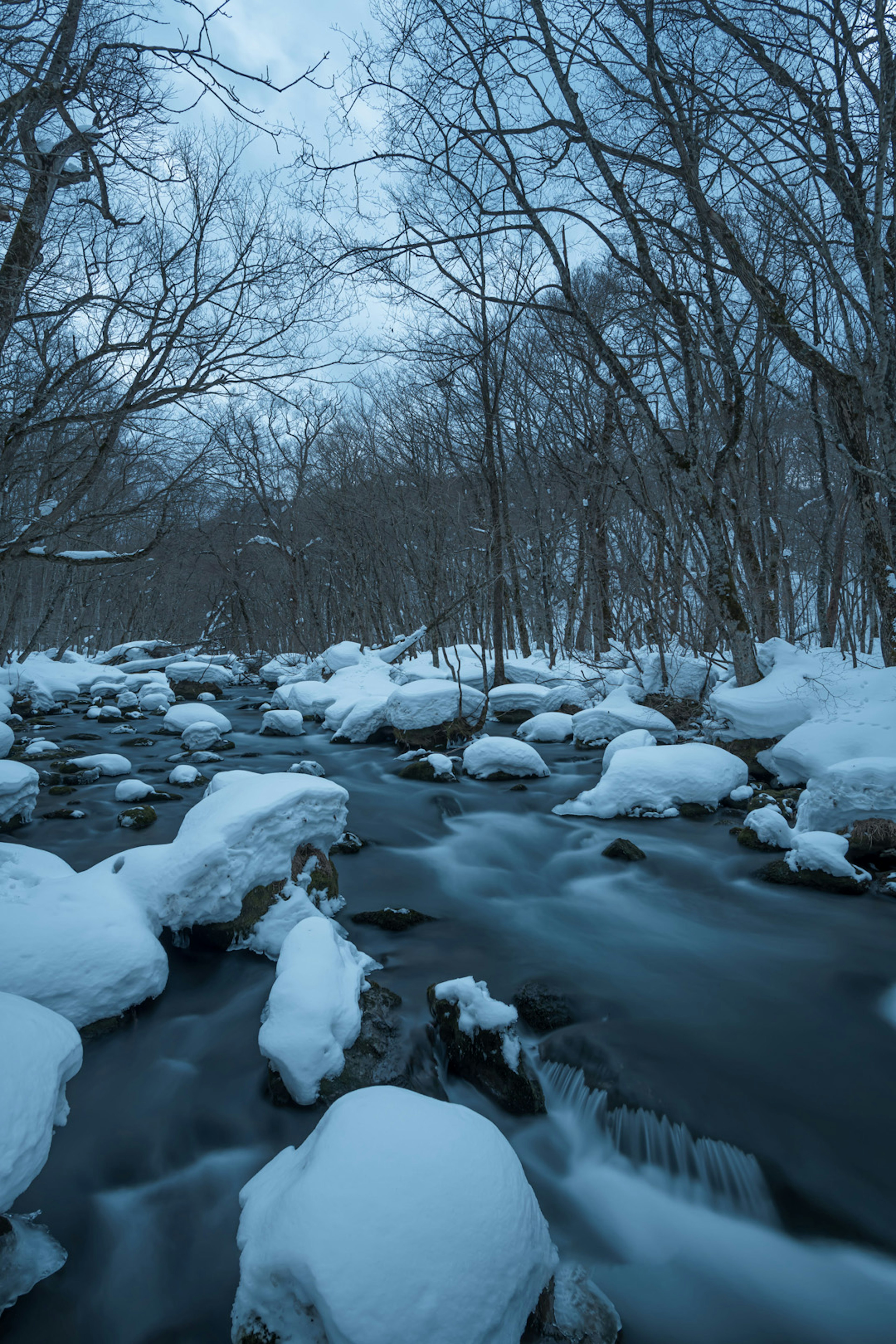 冬季场景，河流流过覆盖雪的岩石和树木