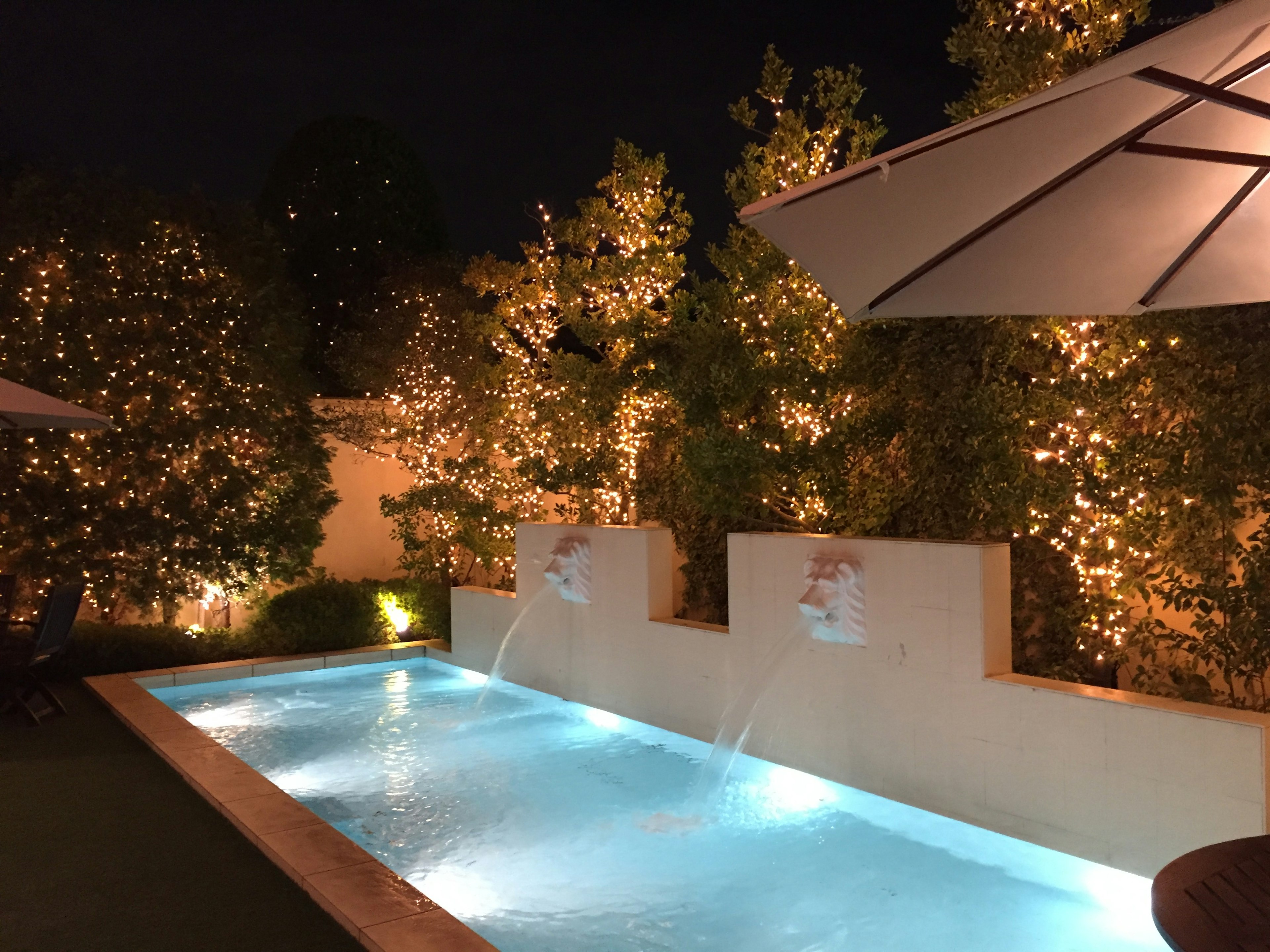 Piscina azul en un jardín de noche con árboles iluminados