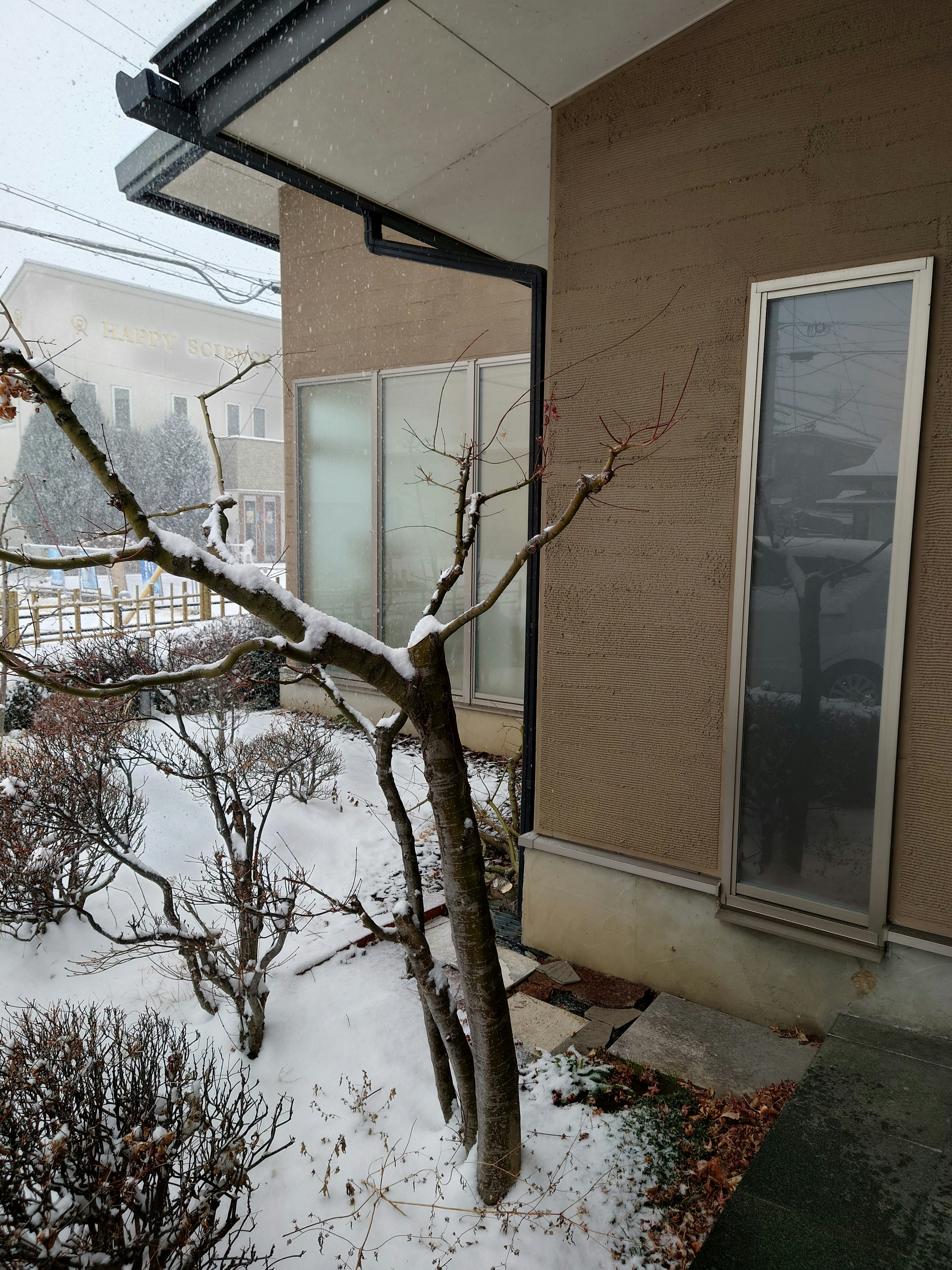 Vista esterna di una casa con una finestra e un giardino coperto di neve