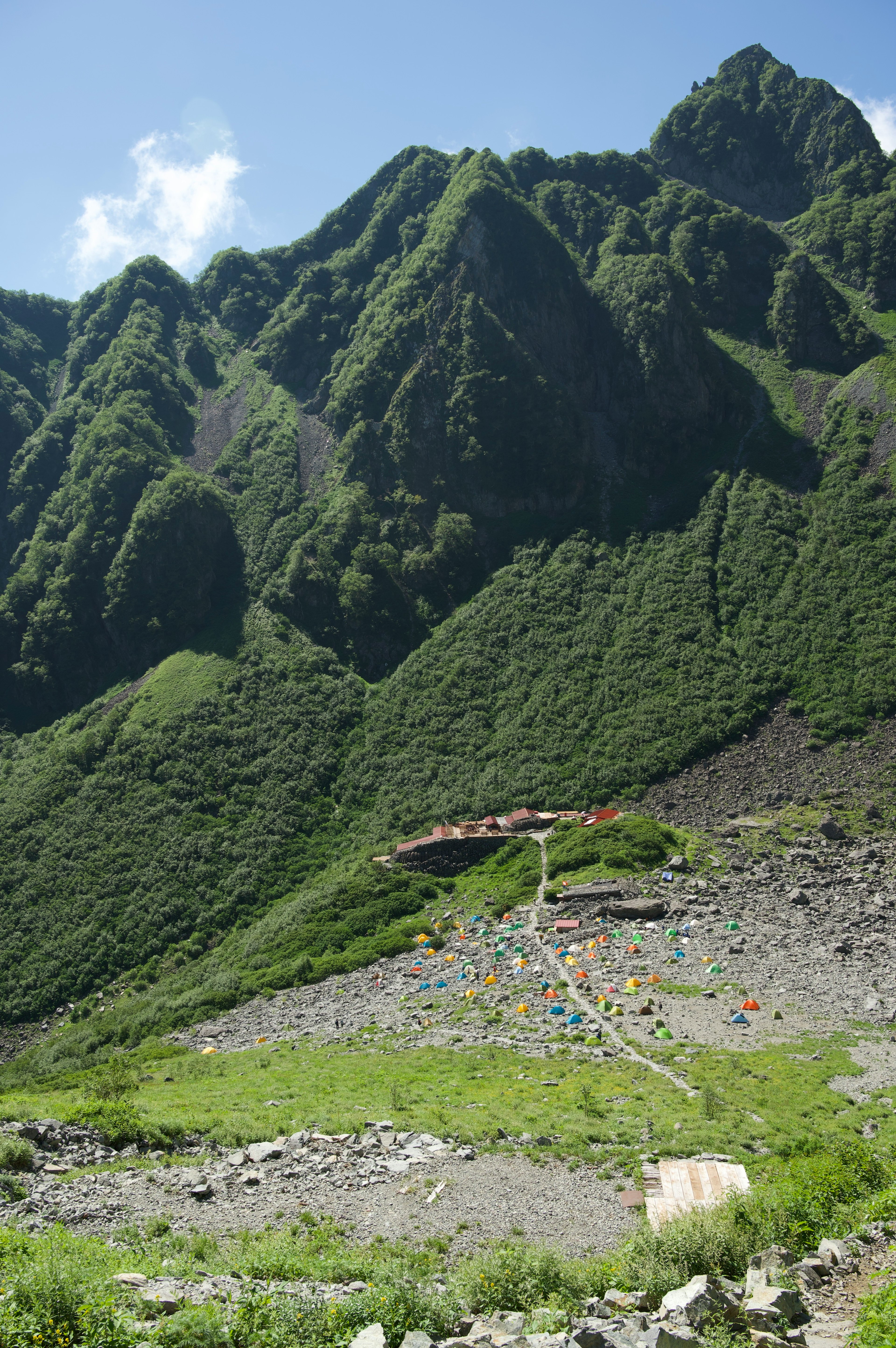 緑豊かな山々と石の道が見える風景