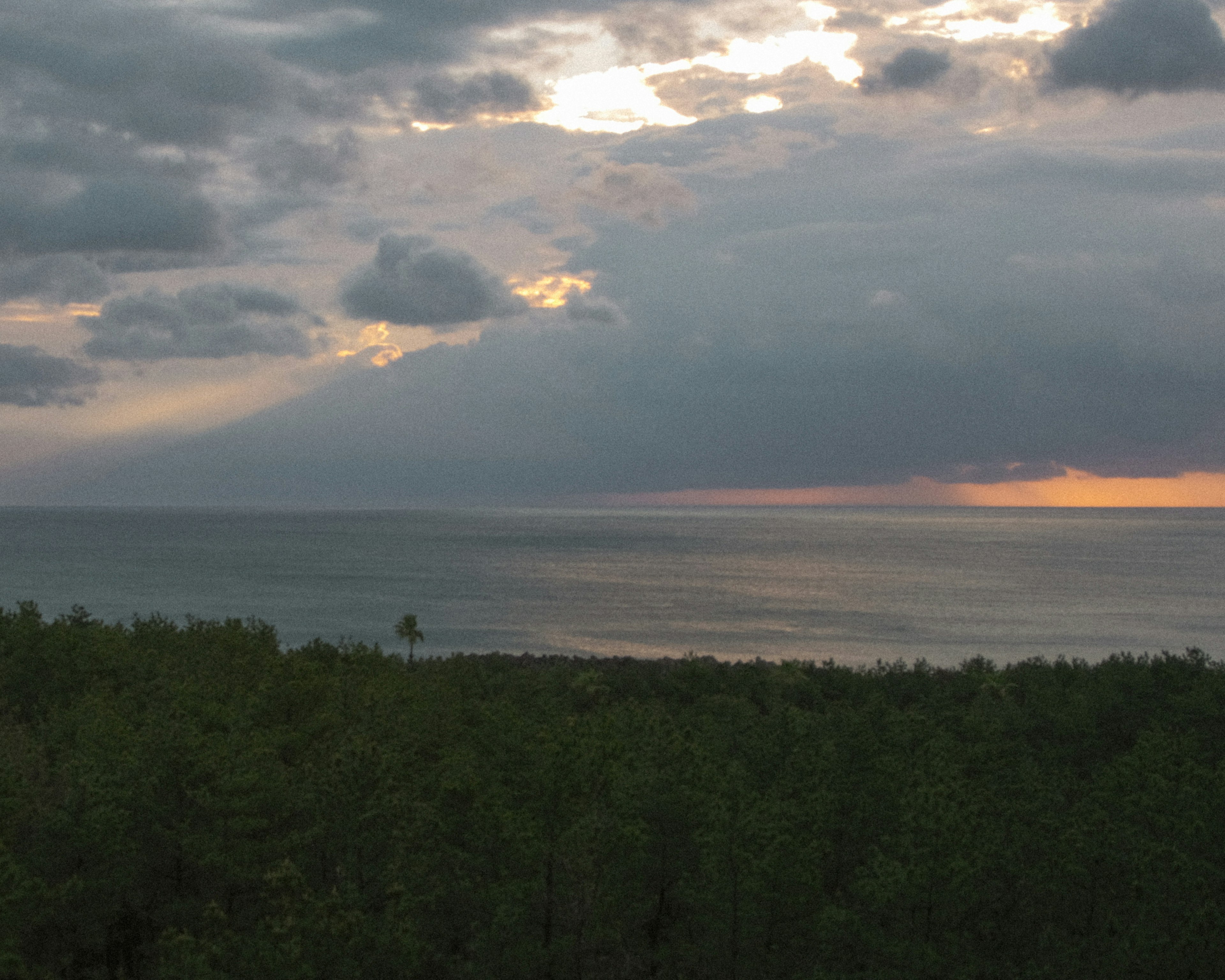 Cloudy sky over a calm sea with green trees in the foreground