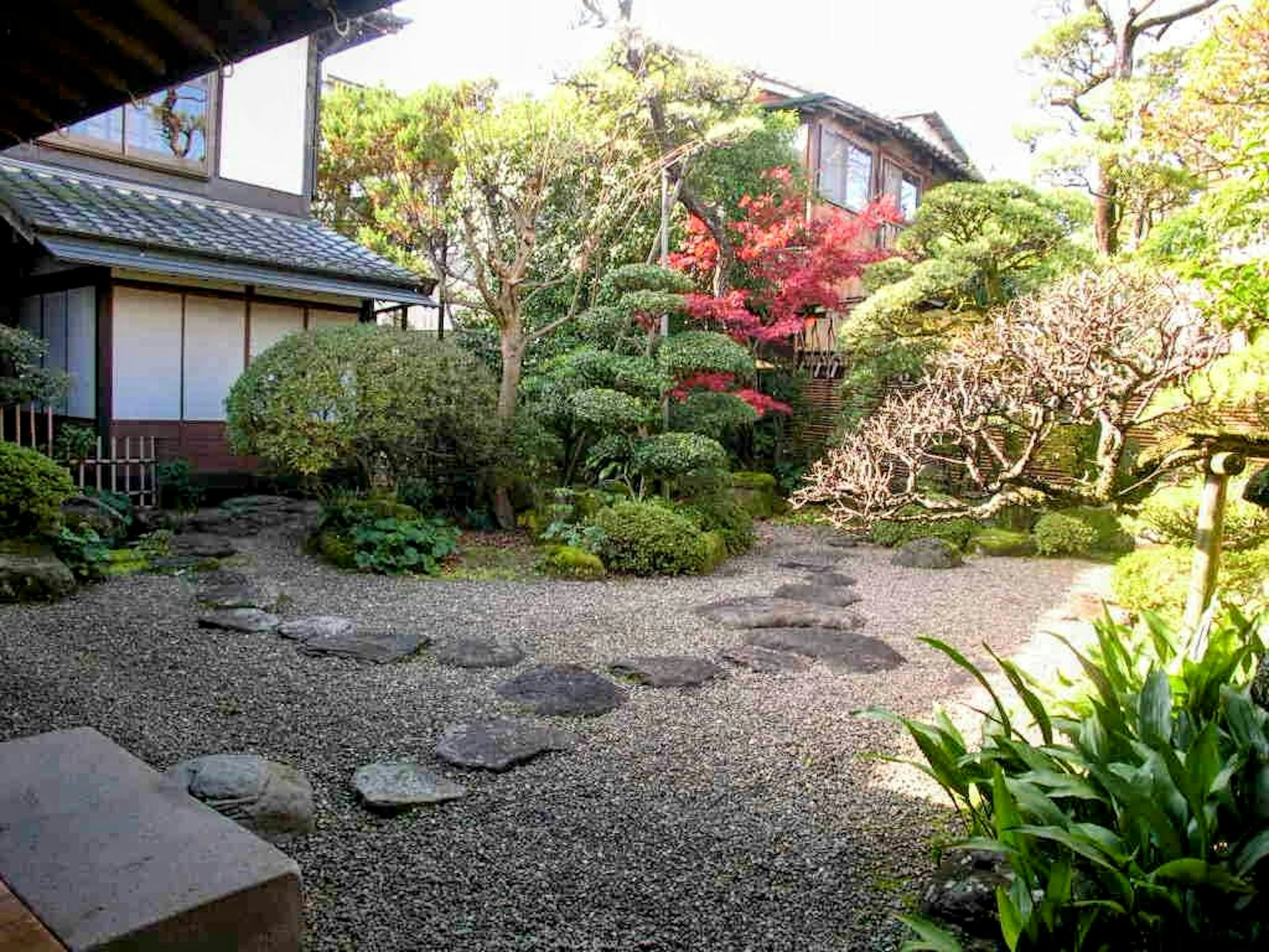 Taman Jepang yang tenang dengan tanaman subur dan jalan setapak batu