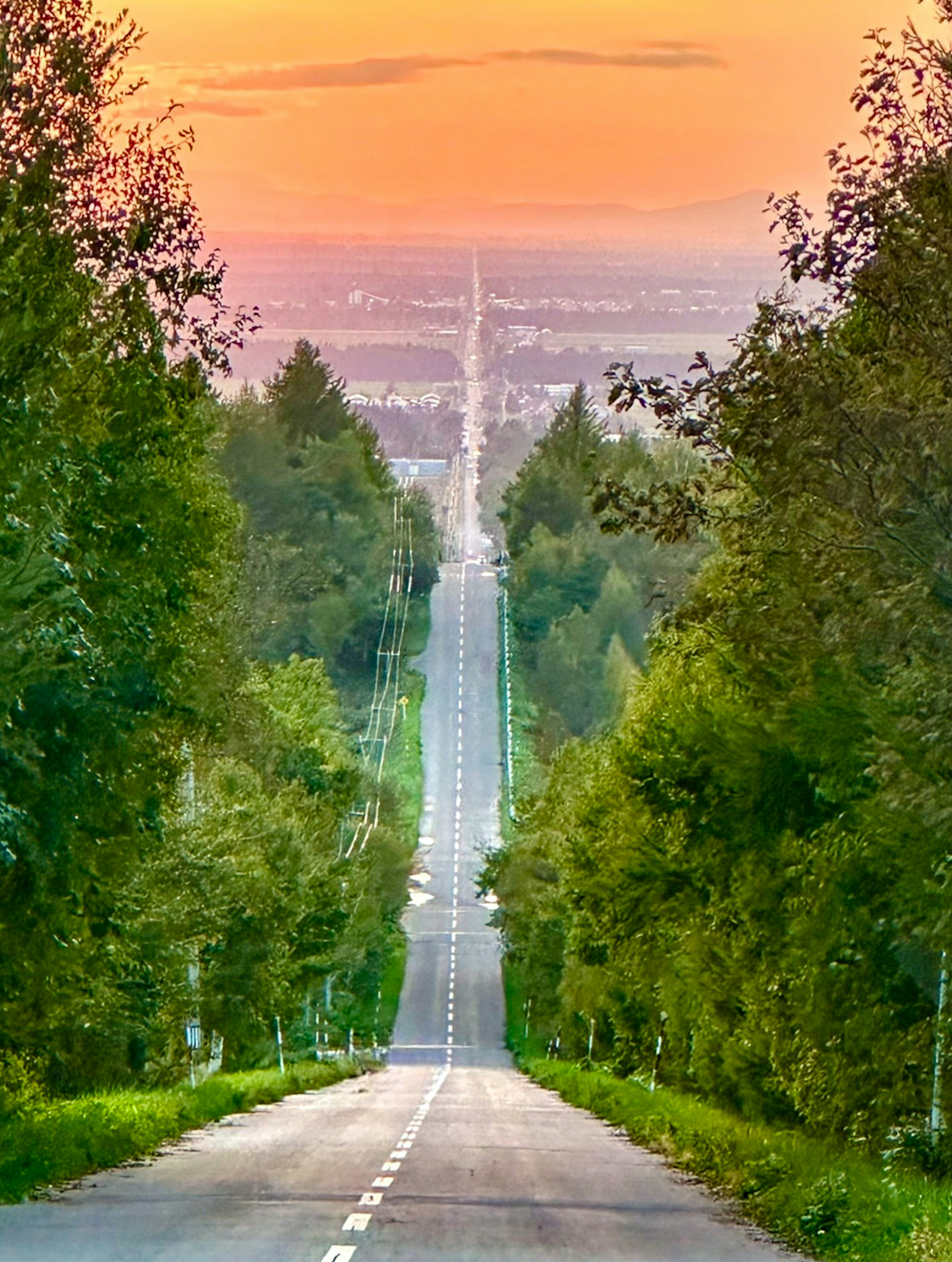 Longue route droite entourée d'arbres verts luxuriants et d'un beau coucher de soleil