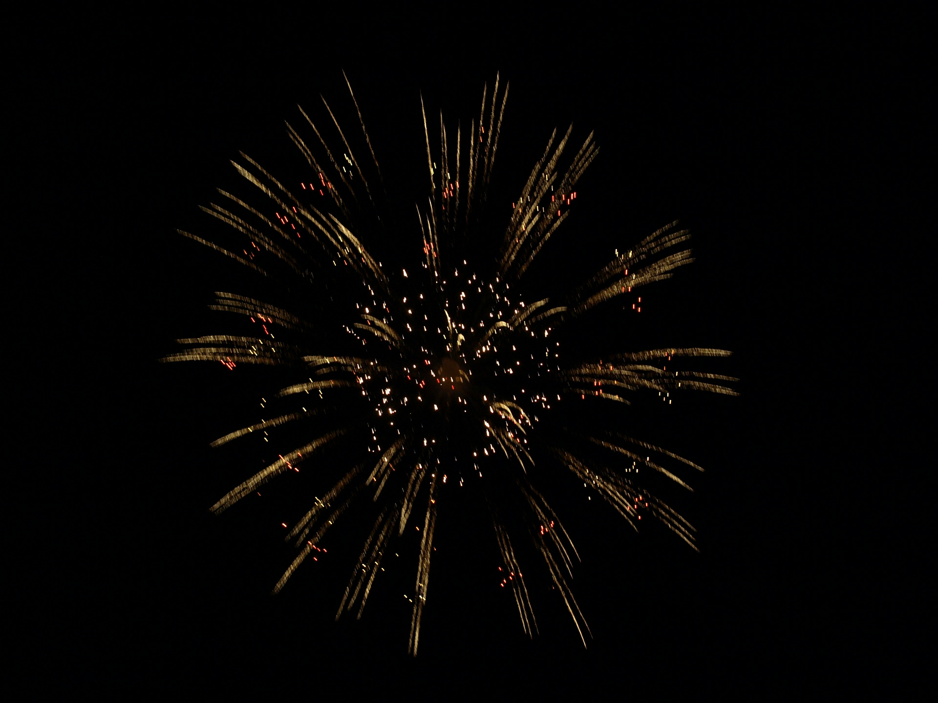 Una hermosa explosión de fuegos artificiales sobre un fondo negro